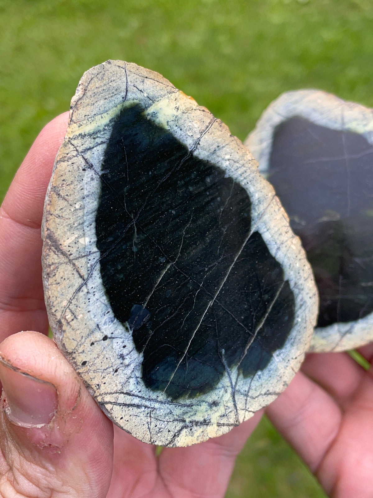 StoneBorn Creations – Hand-Polished Deep Forest Green Stone Pair | Natural Cream Borders & Fine Mineral Veining