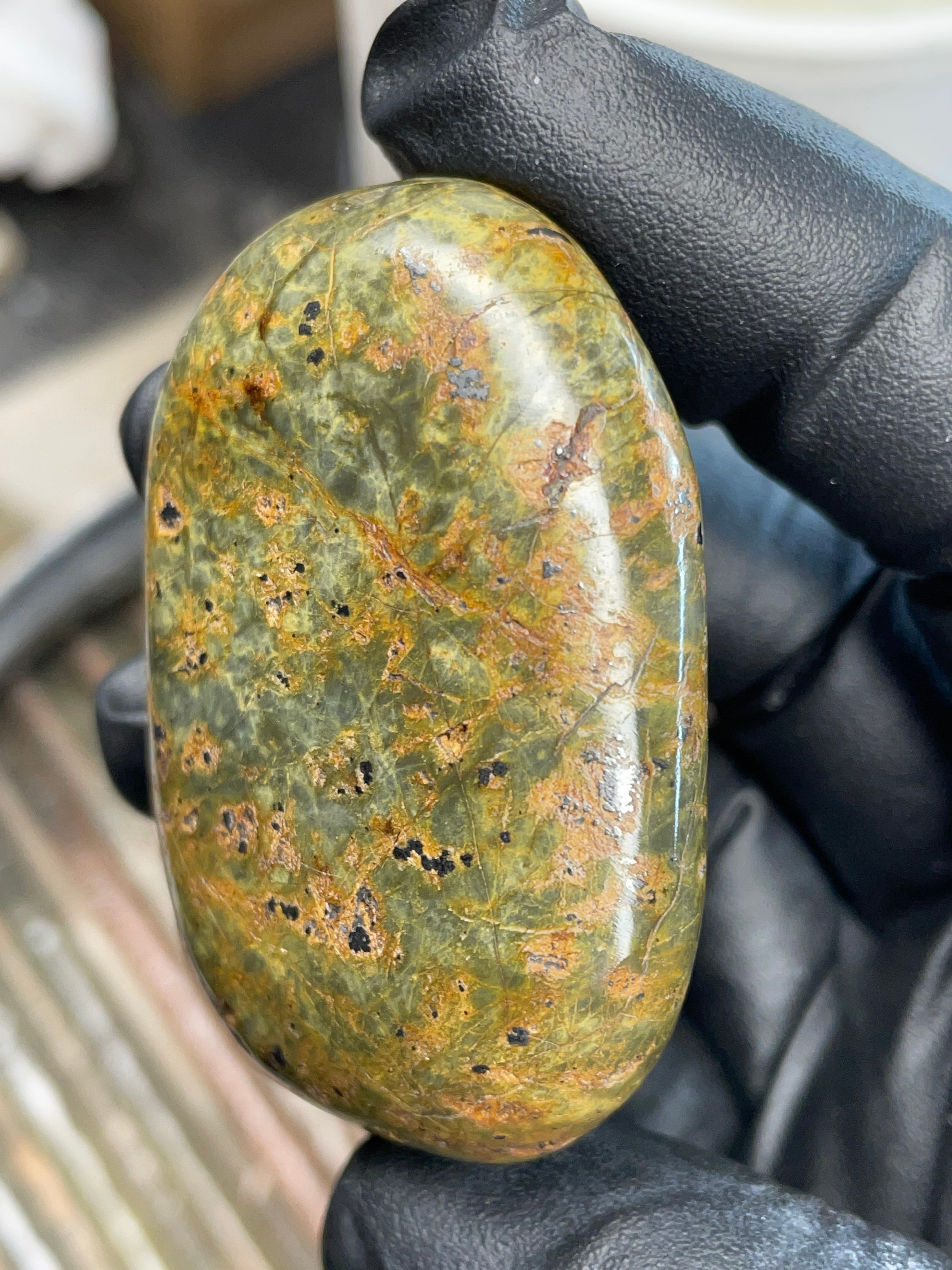 Green Serpentine with Magnetite — Hand-Polished Freeform Stone