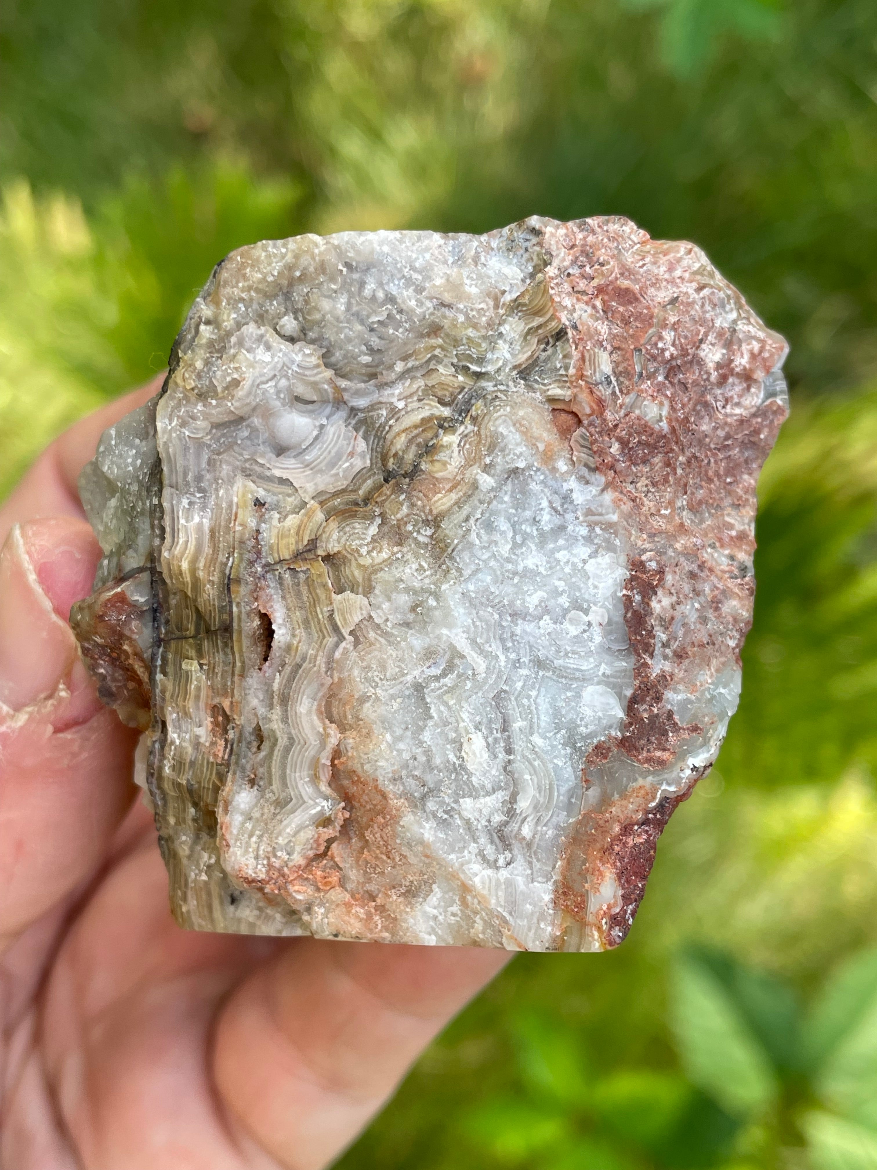 StoneBorn Creations Hand-Polished Lace Agate Freeform with Intricate Fortification Banding, Orbicular Eyes & Natural Druzy Quartz Pocket