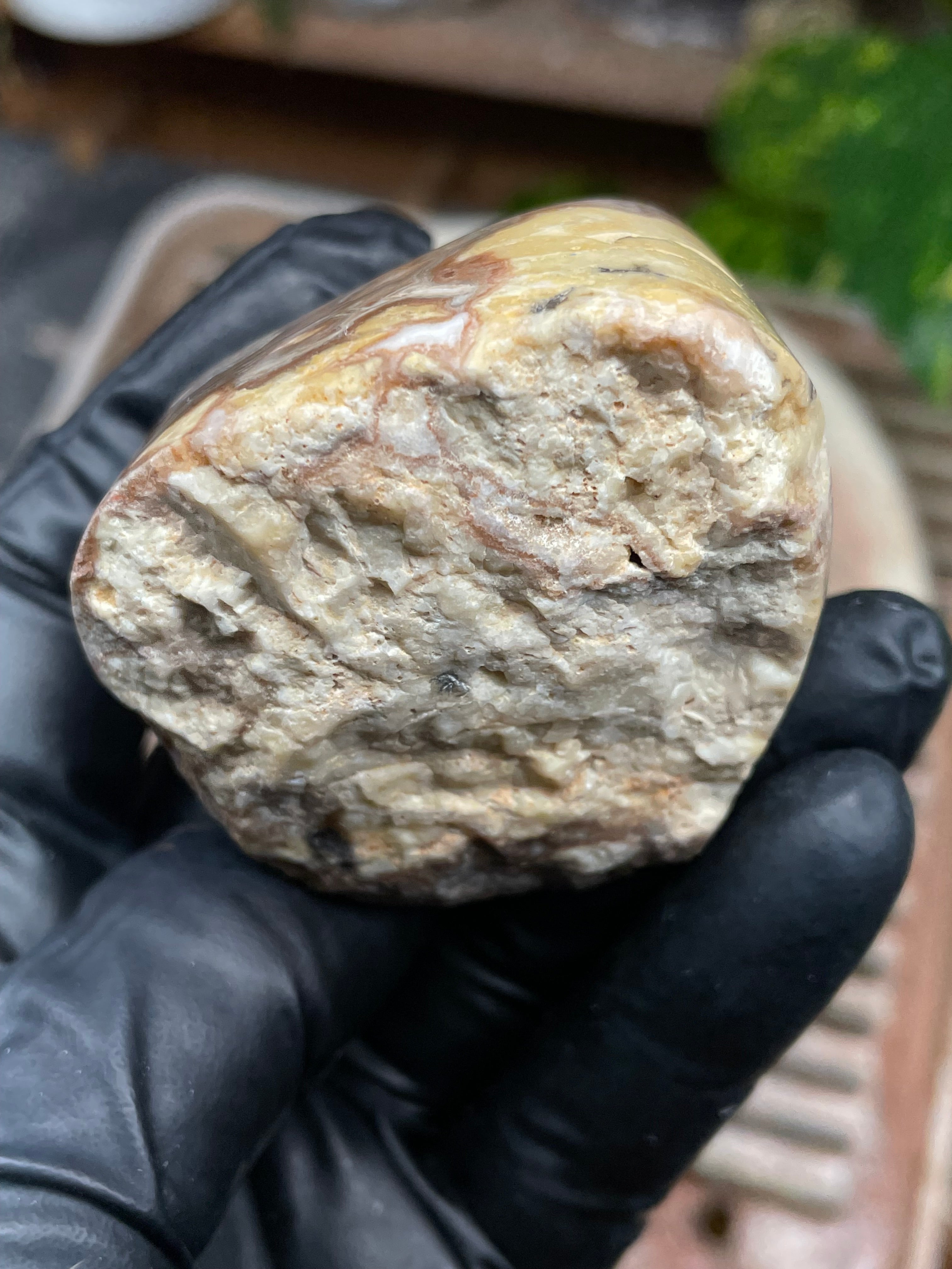 StoneBorn Creations Hand-Polished Banded Lace Agate with Natural Raw Top and Base – Intricate Earth-Toned Banding Freeform Finish