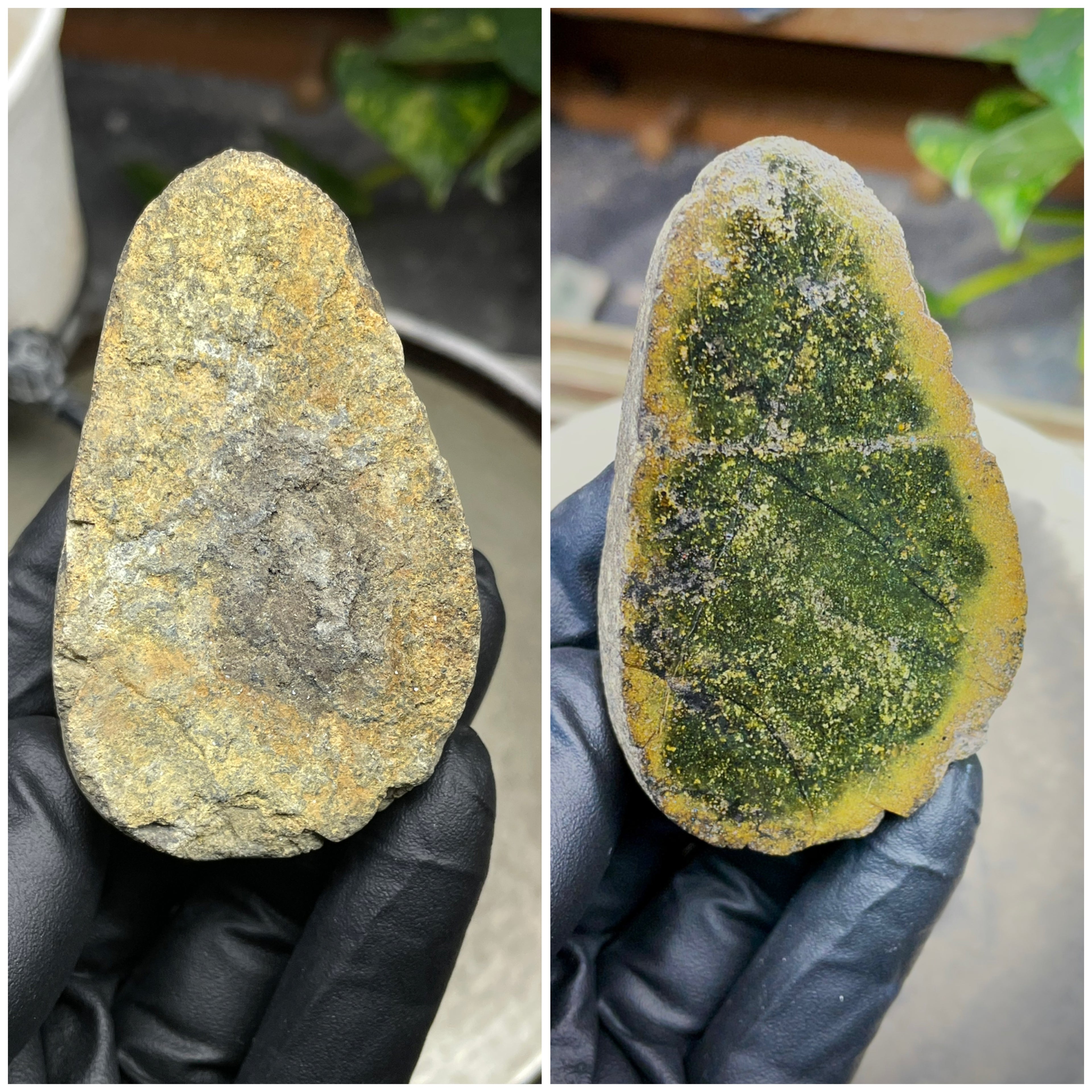 StoneBorn Creations Hand-Polished Vermont Serpentine Freeform Display Stone | Natural Green Reveal | Raw Back