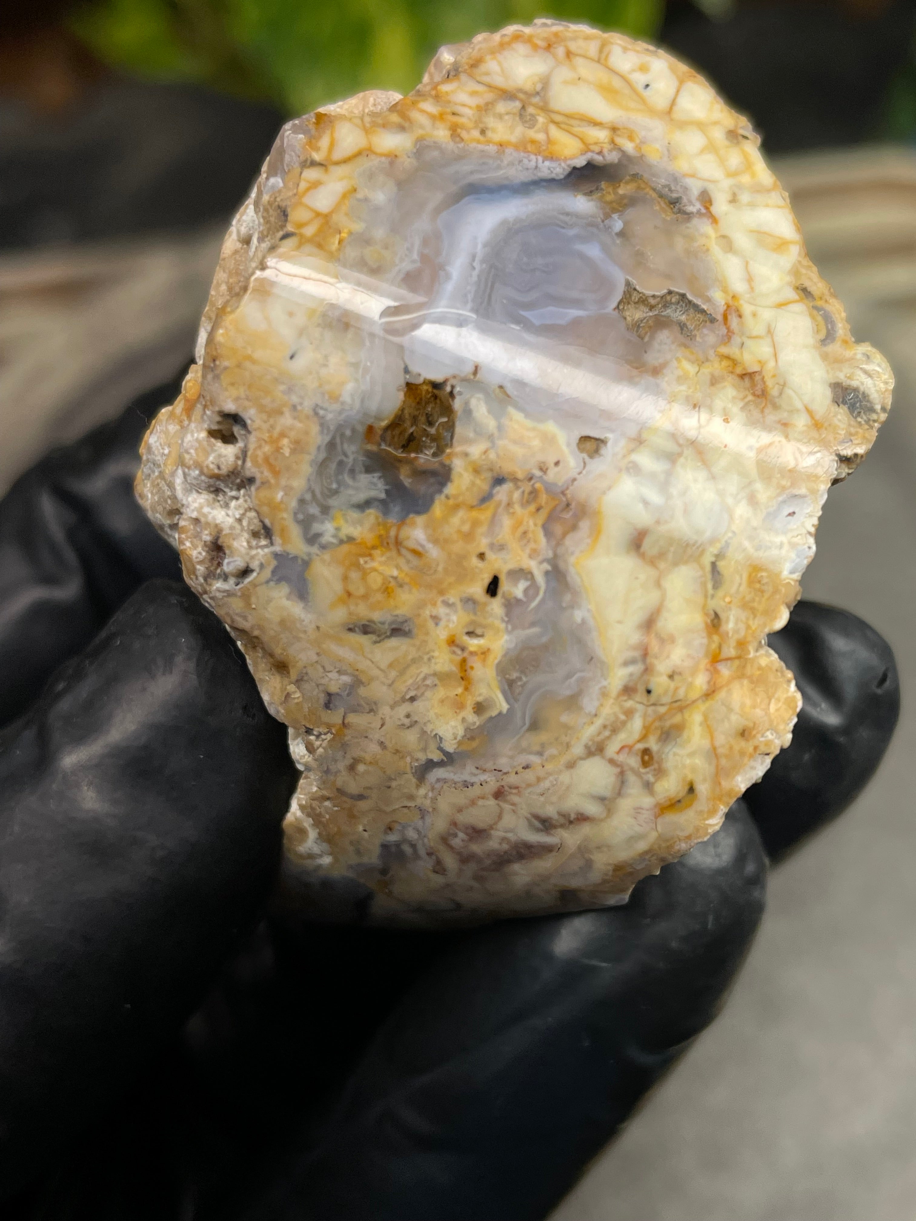 StoneBorn Creations Hand-Polished Curved Lace Agate with Natural Cream, Gold & Gray Banding – One-of-a-Kind Display Stone
