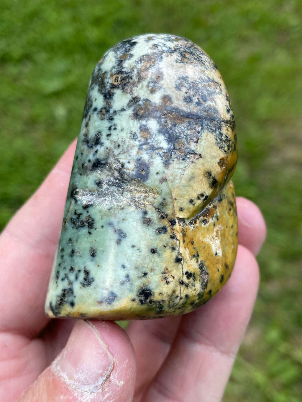 StoneBorn Creations Hand-Polished Green Serpentine Freeform with Deep Forest Green Pocket, Golden Matrix, and Natural Black Mineral Inclusions
