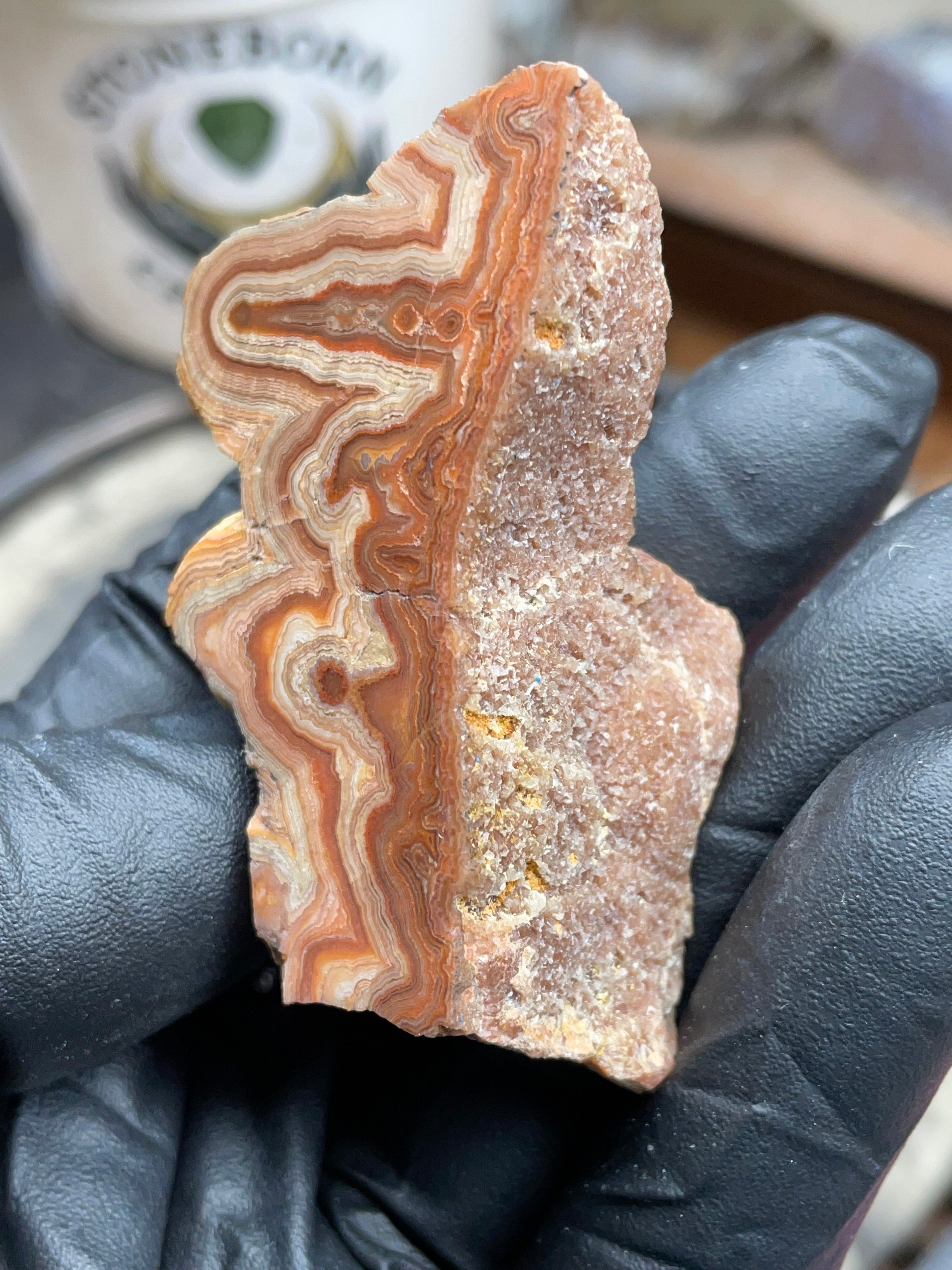Hand-Polished Georgia Agate – Flat Polished Face, Natural Raw Edge