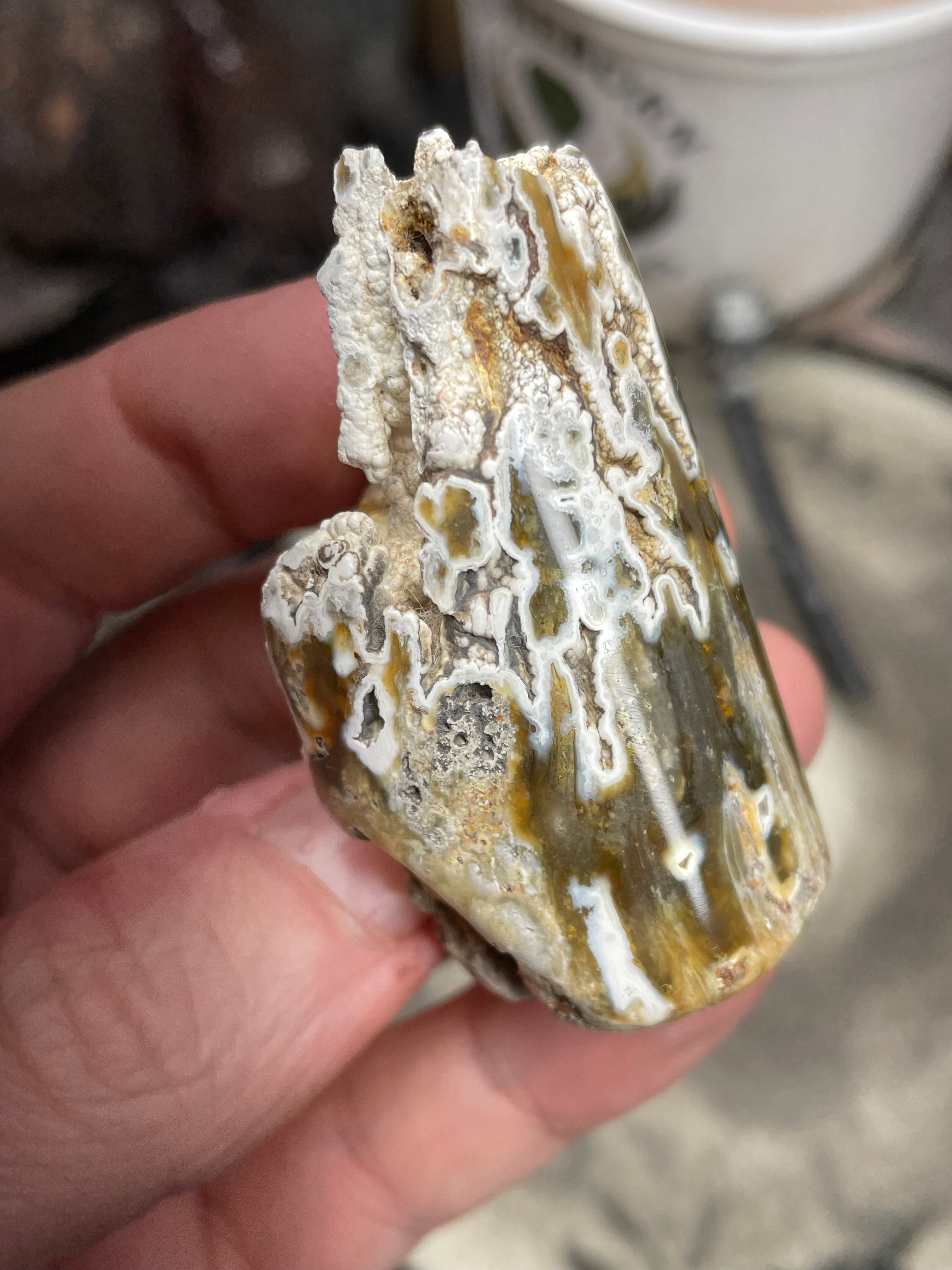 Agatized Coral – Hand Shaped & Polished Freeform