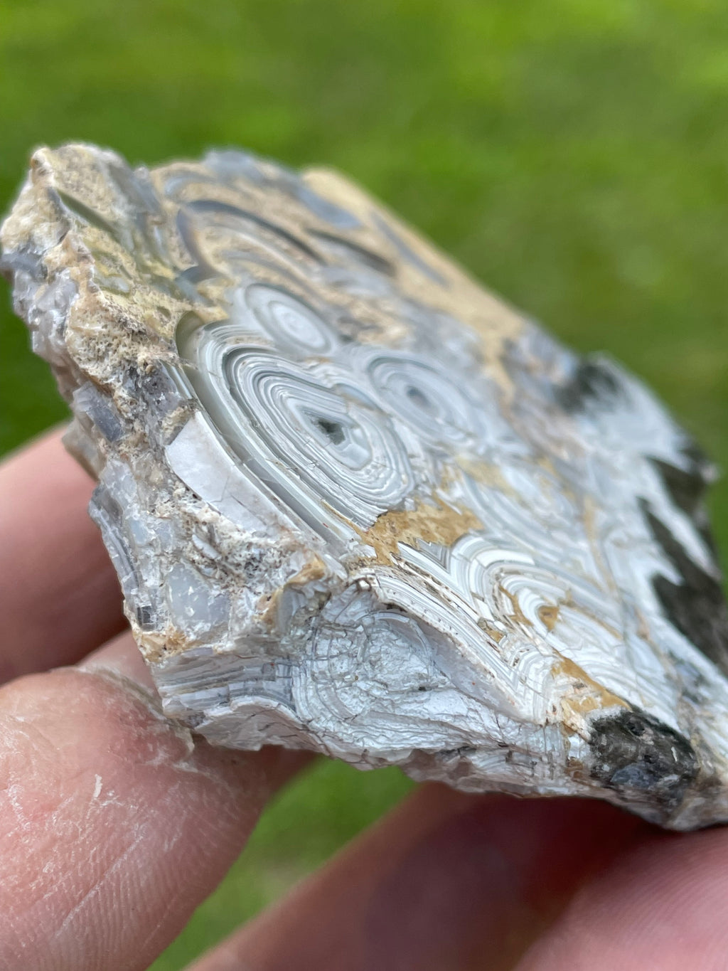 StoneBorn Creations Hand-Polished Tuxedo Lace Agate Bookmatched Pair | One-of-a-Kind Natural Display Stones