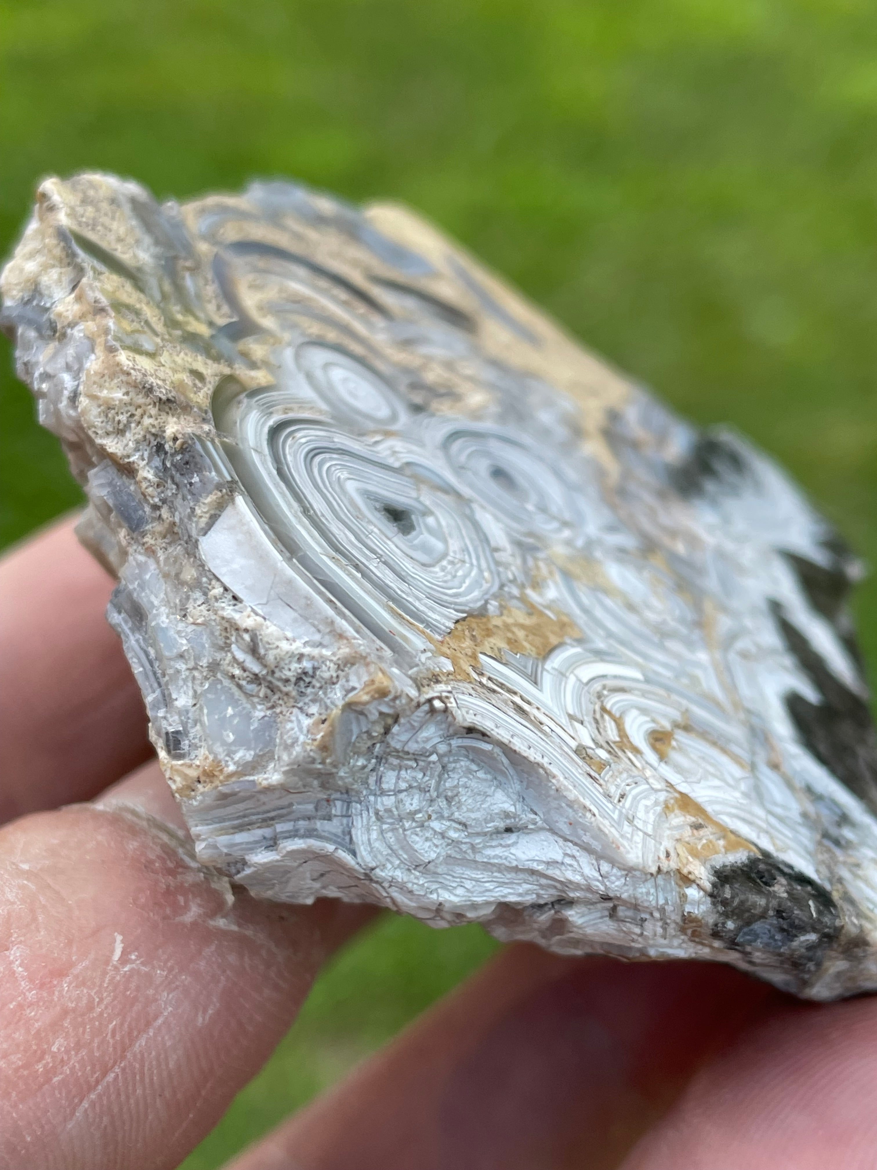 StoneBorn Creations Hand-Polished Tuxedo Lace Agate Bookmatched Pair | One-of-a-Kind Natural Display Stones