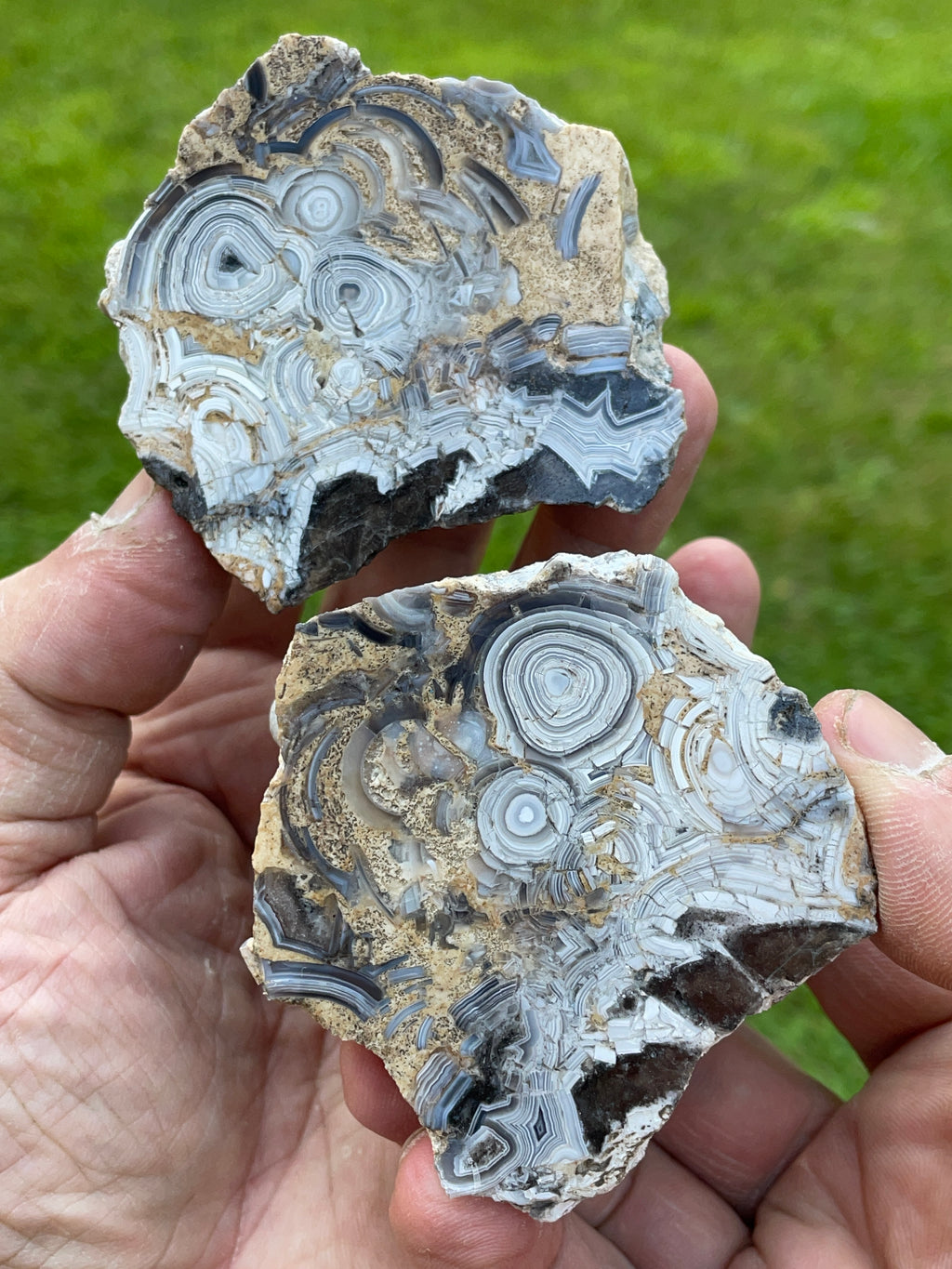 StoneBorn Creations Hand-Polished Tuxedo Lace Agate Bookmatched Pair | One-of-a-Kind Natural Display Stones