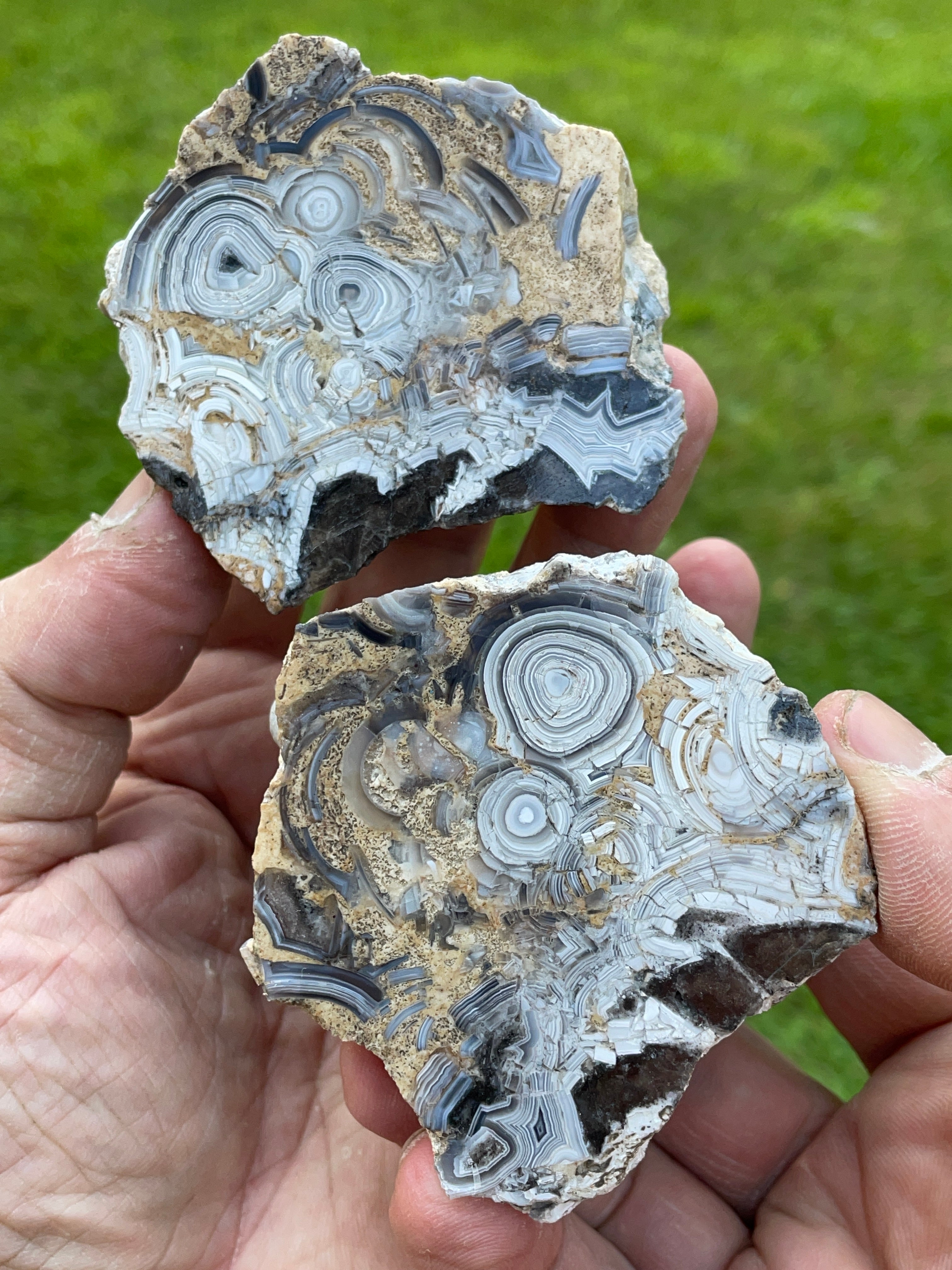 StoneBorn Creations Hand-Polished Tuxedo Lace Agate Bookmatched Pair | One-of-a-Kind Natural Display Stones