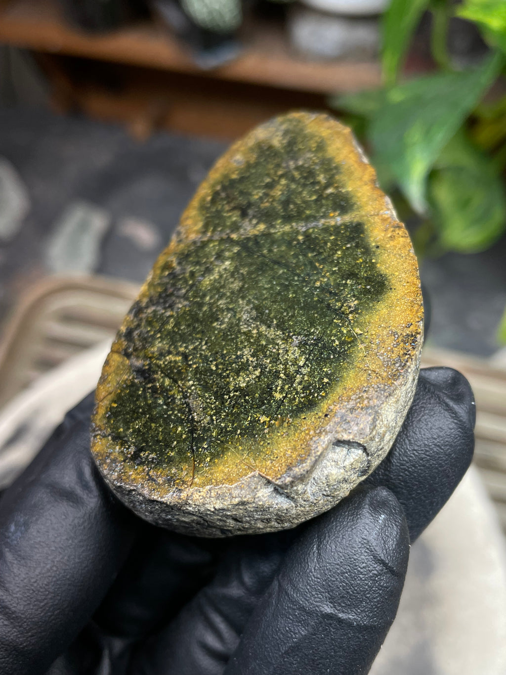 StoneBorn Creations Hand-Polished Vermont Serpentine Freeform Display Stone | Natural Green Reveal | Raw Back