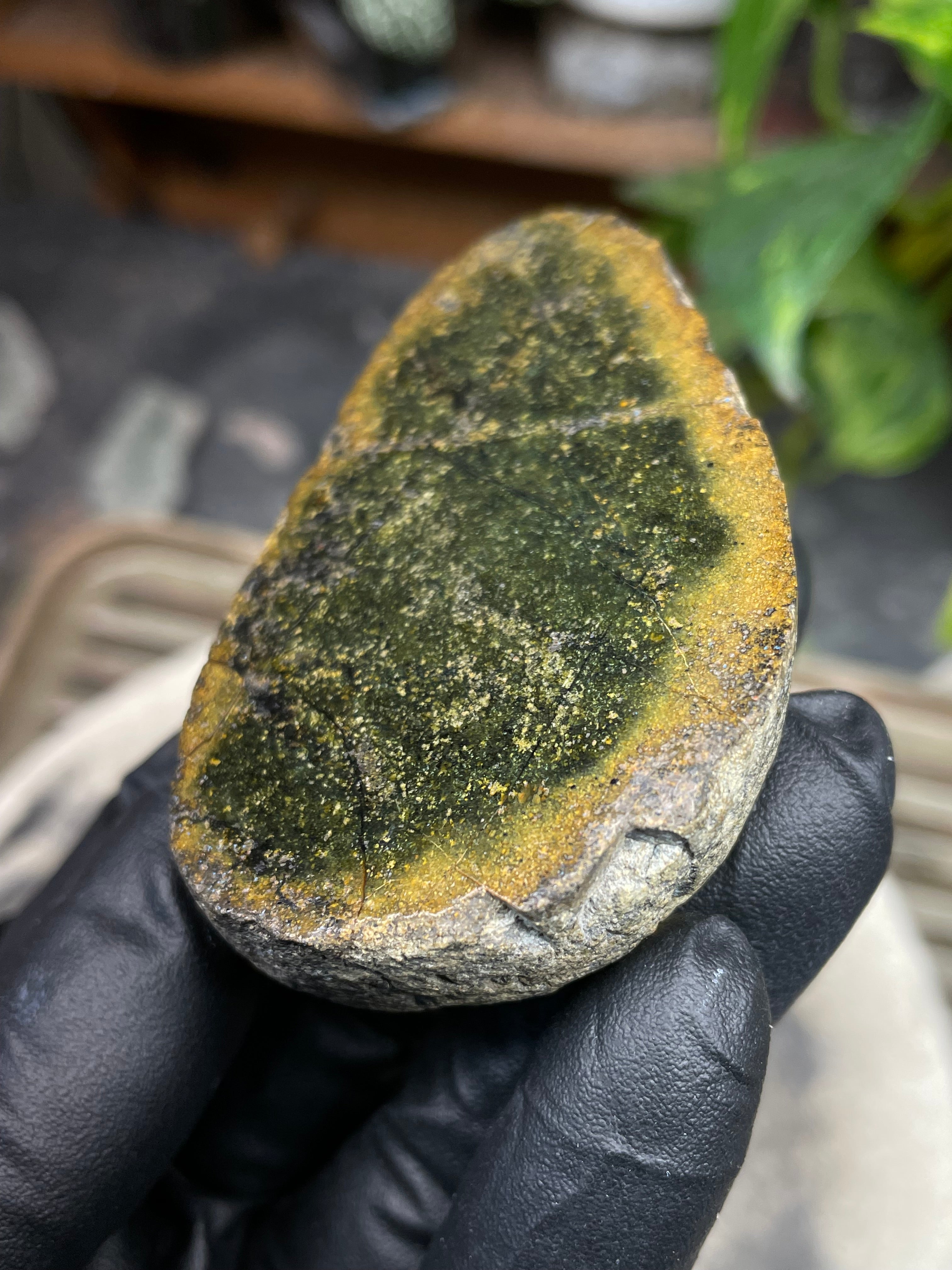 StoneBorn Creations Hand-Polished Vermont Serpentine Freeform Display Stone | Natural Green Reveal | Raw Back