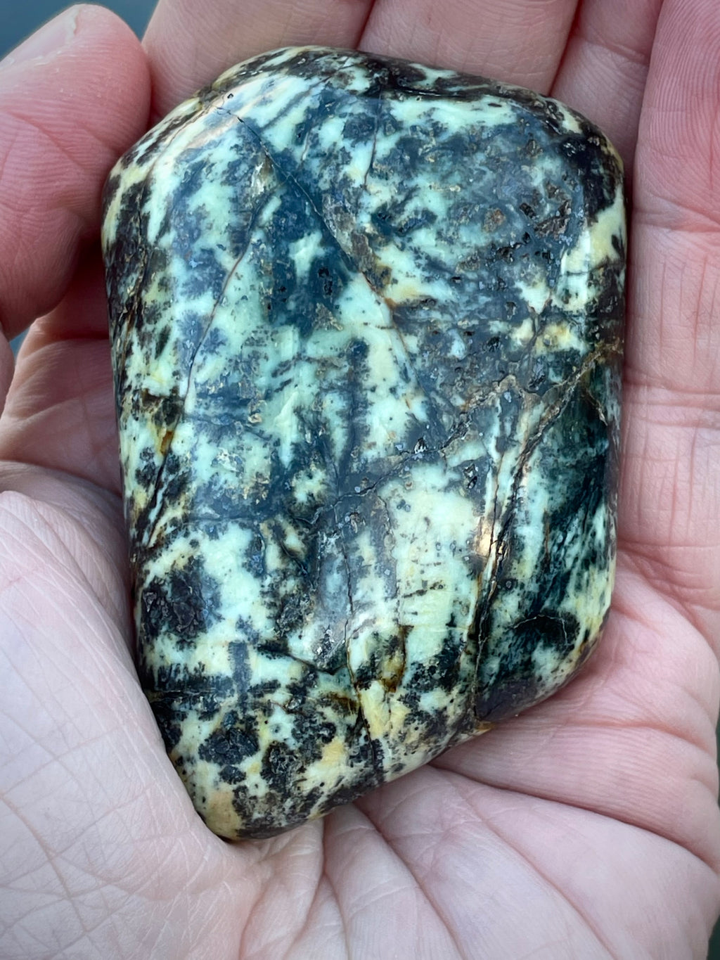 🌿 Polished Vermont Serpentine — Frosted Forest Pattern (Hand-Collected & Crafted)