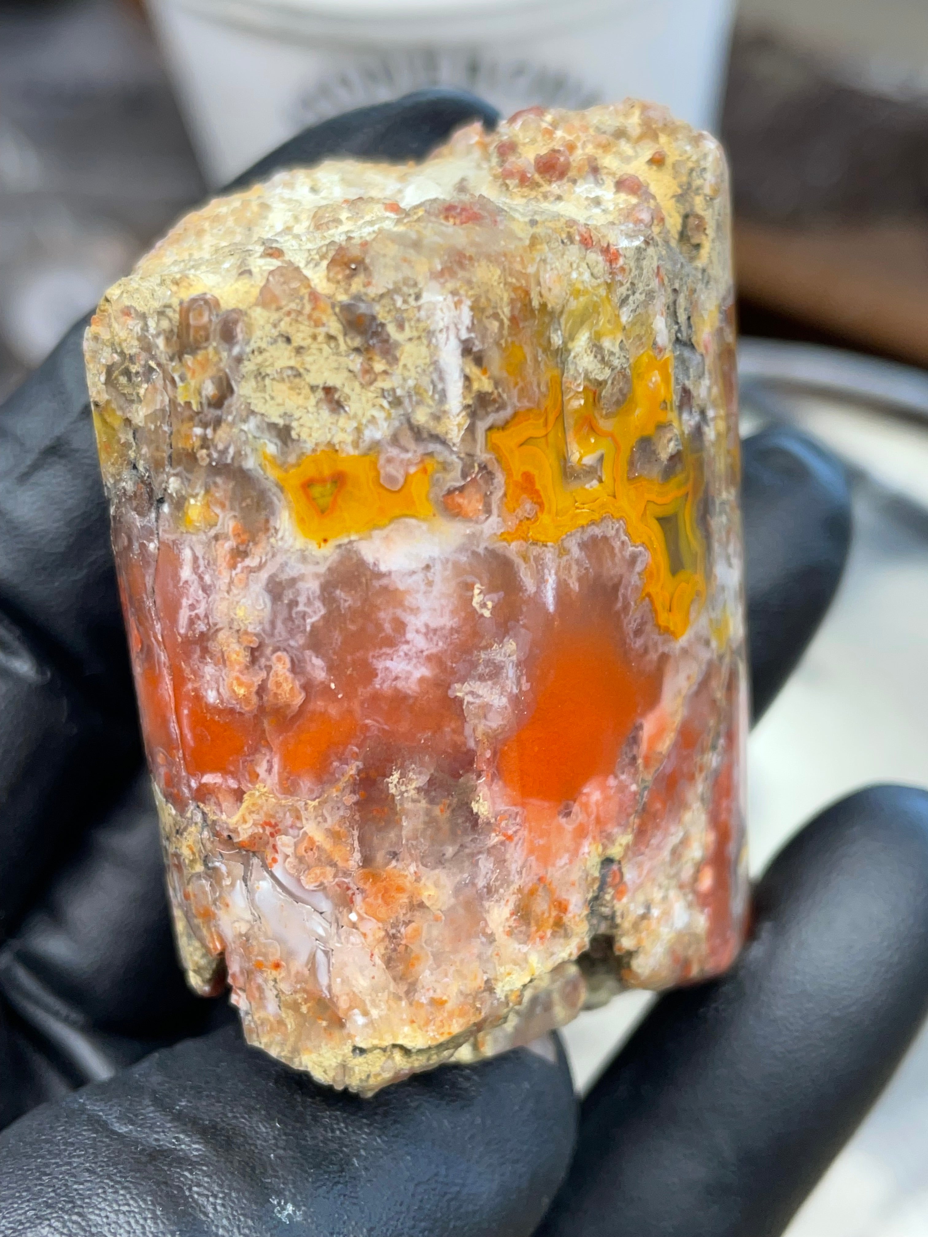 Hand-Polished Banded Agate — Raw & Refined StoneBorn Piece