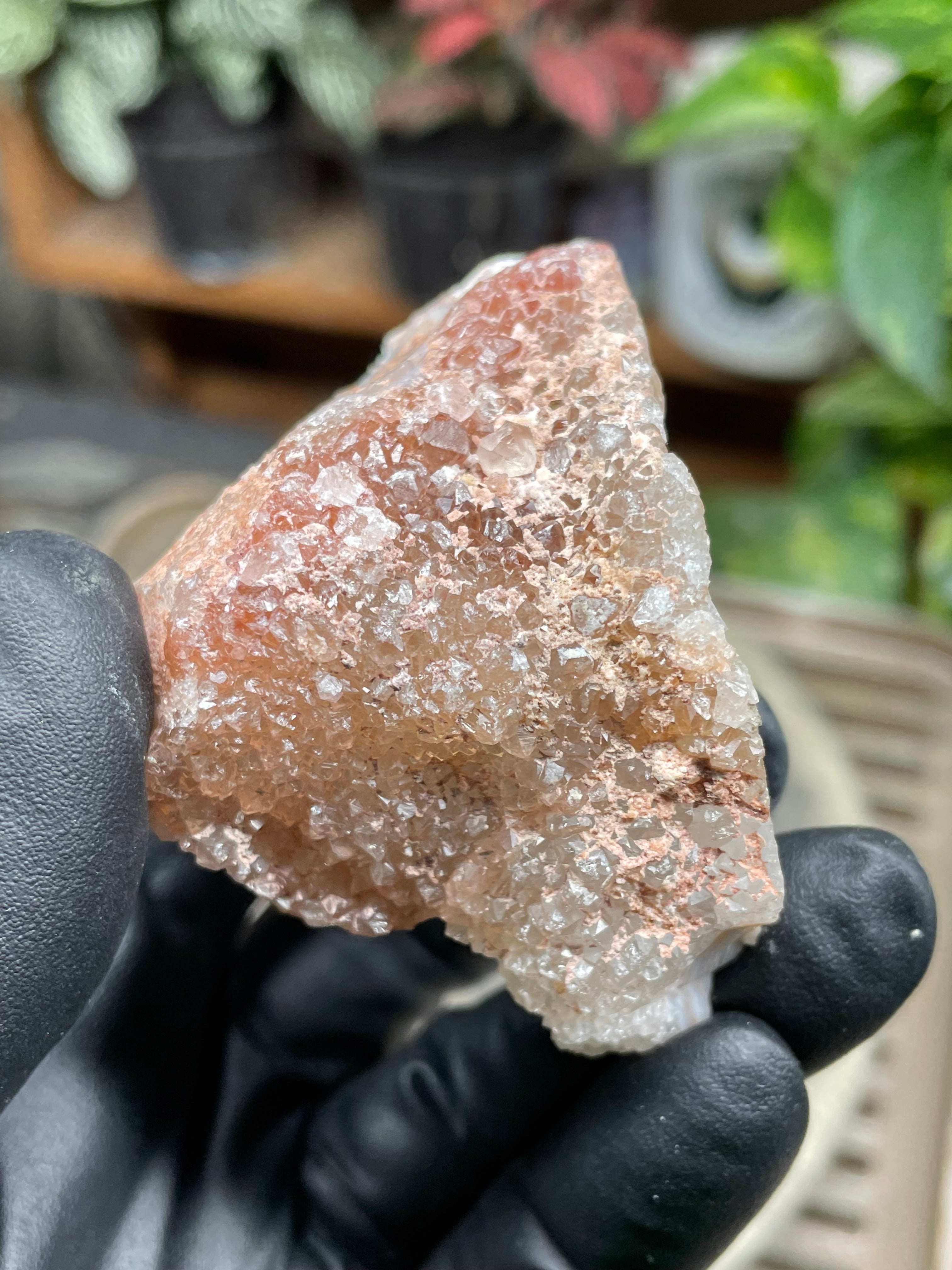 StoneBorn Creations Hand-Polished Lace Agate Freeform with Curved Polished Face, Intricate Fortification Banding & Natural Druzy Crystal Backing