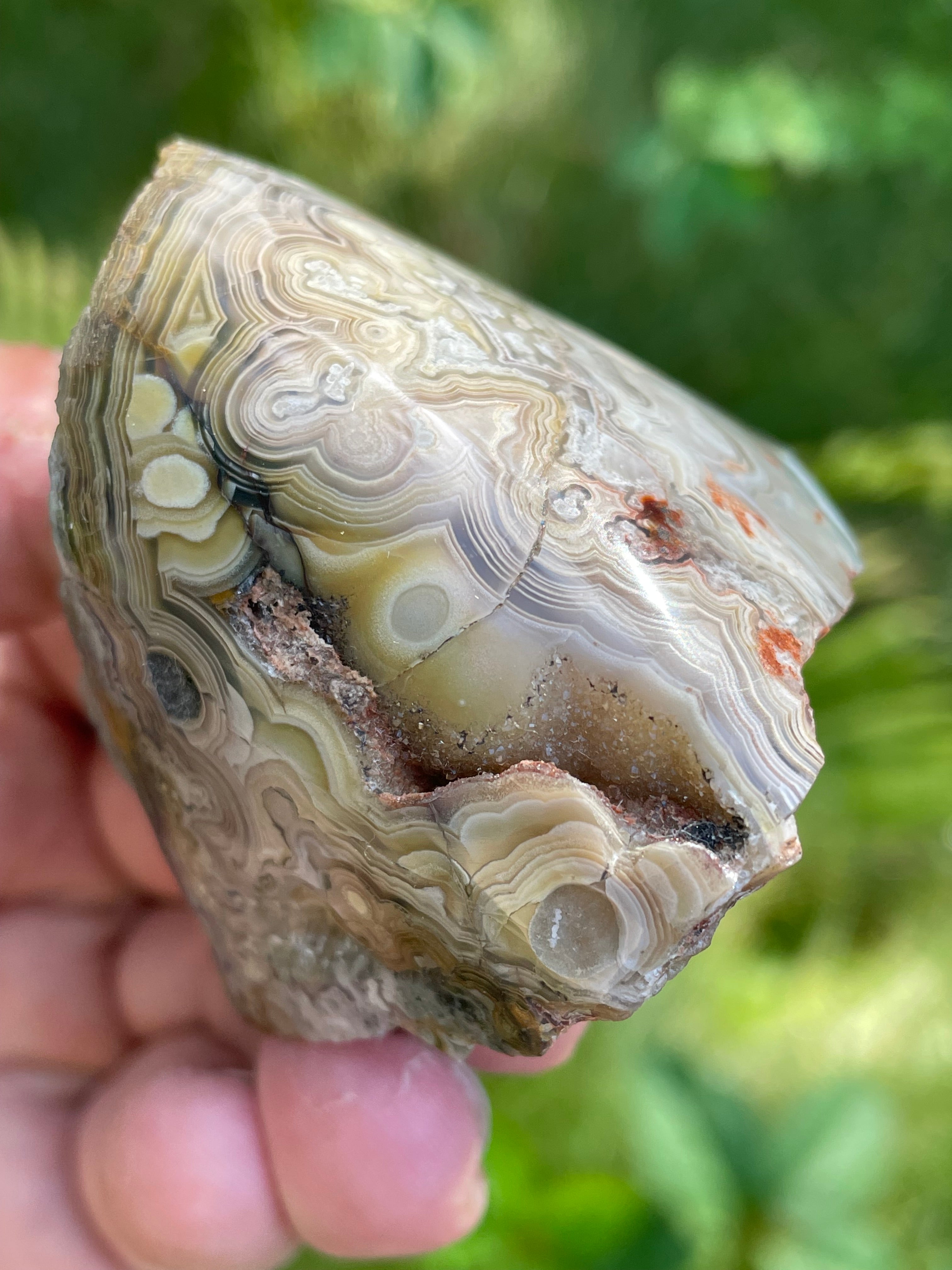 StoneBorn Creations Hand-Polished Lace Agate Freeform with Intricate Fortification Banding, Orbicular Eyes & Natural Druzy Quartz Pocket