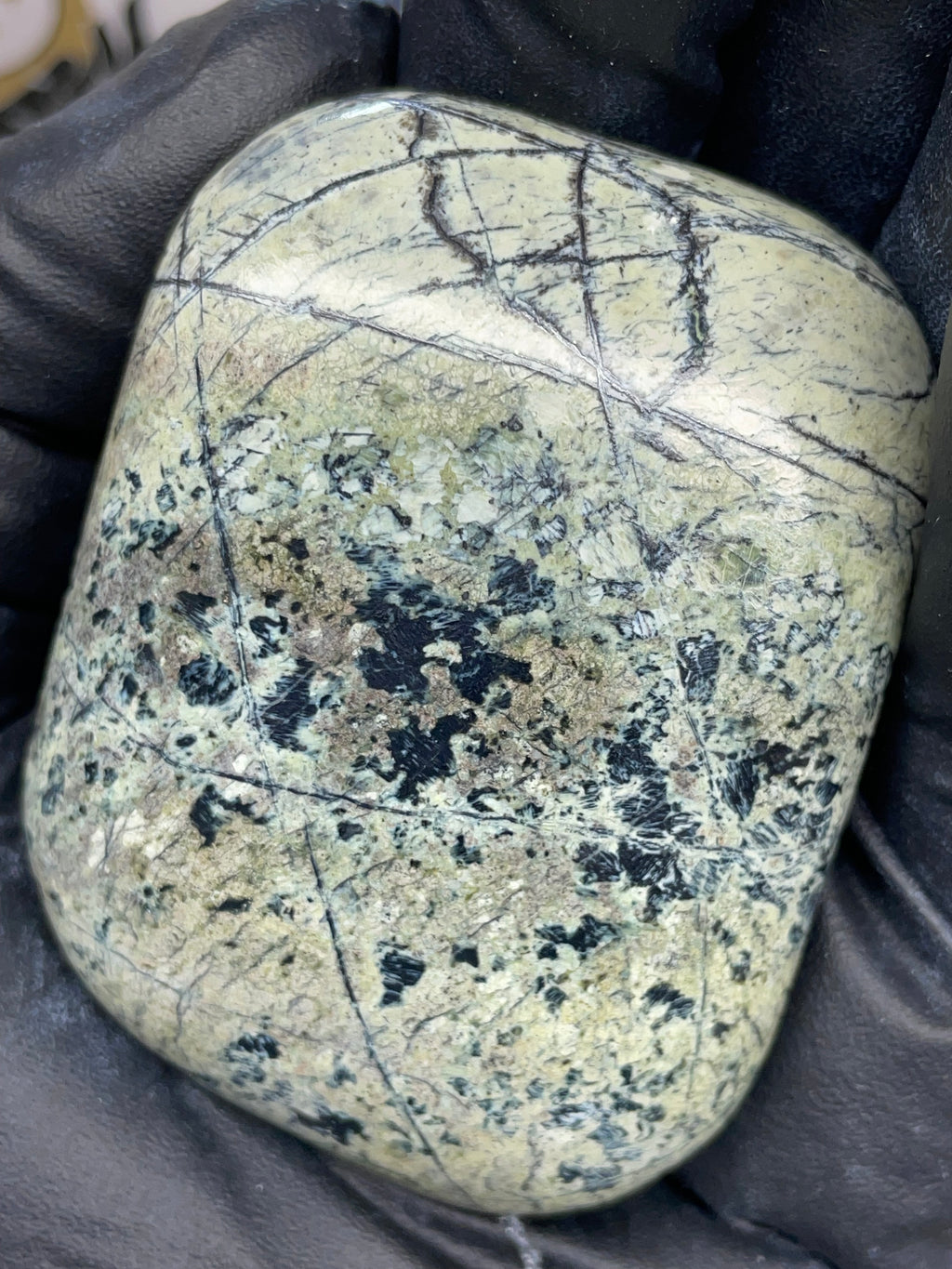 Hand Polished Veined Serpentine • StoneBorn Original