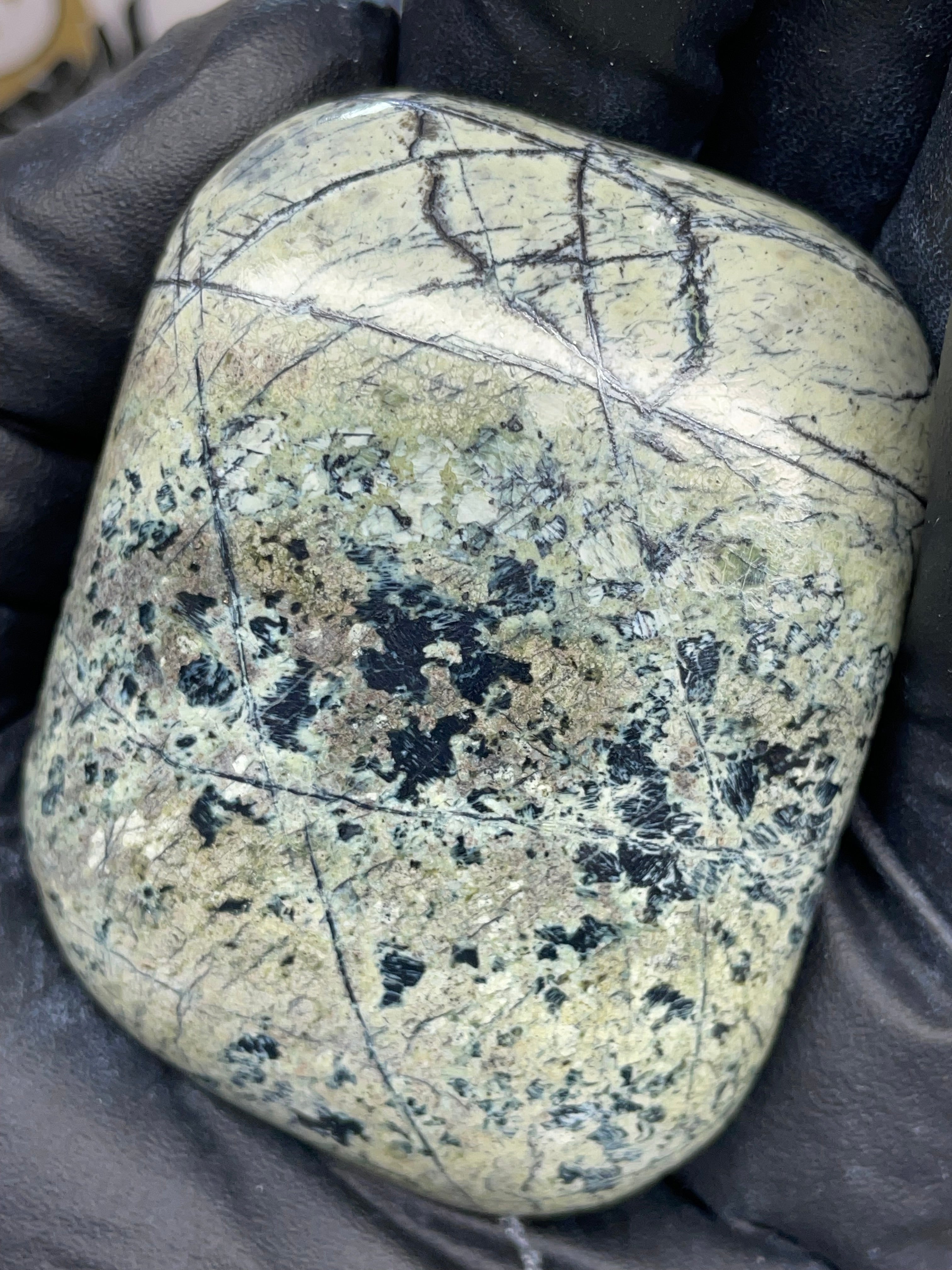 Hand Polished Veined Serpentine • StoneBorn Original