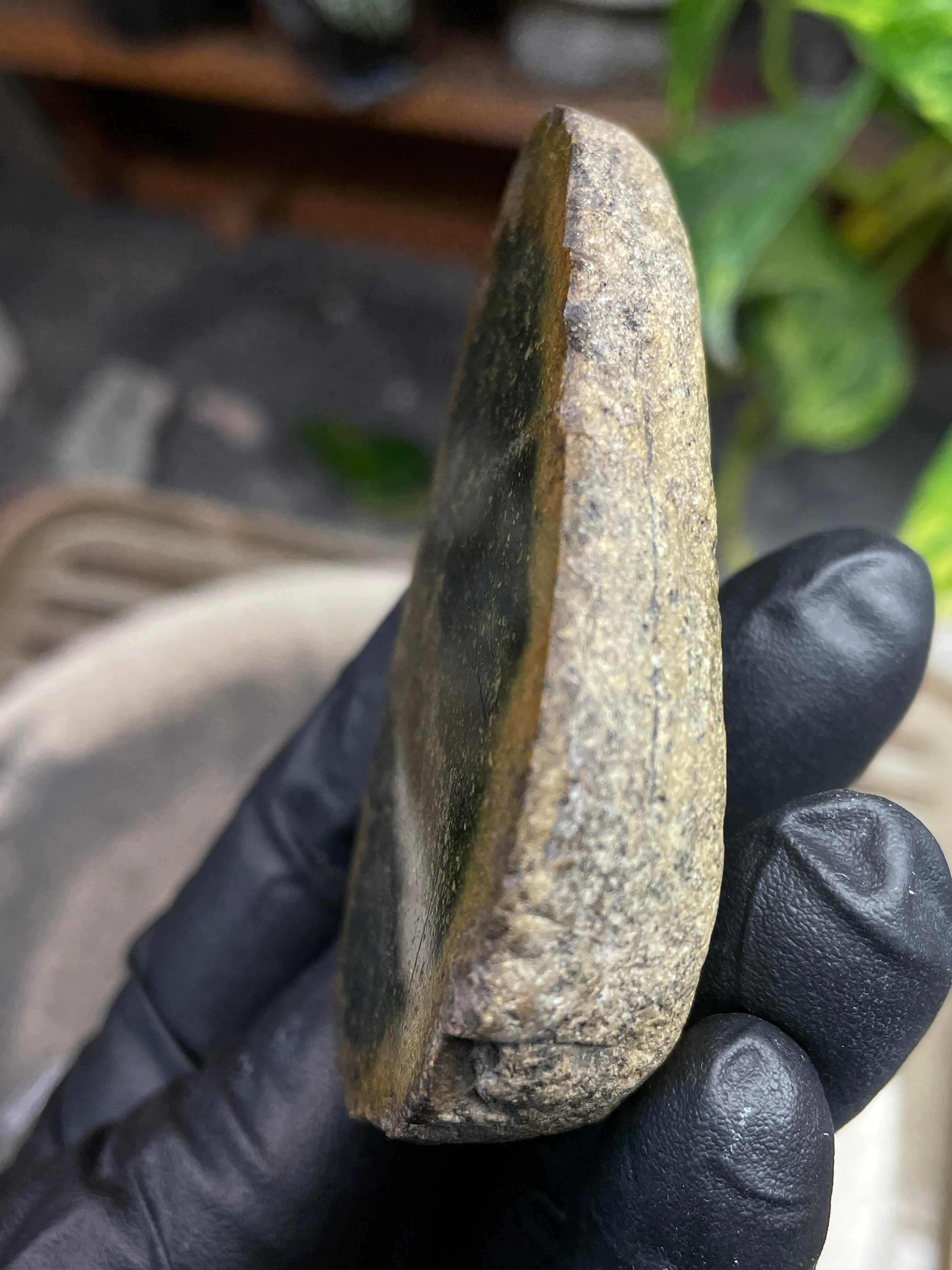 StoneBorn Creations Hand-Polished Vermont Serpentine Freeform Display Stone | Natural Green Reveal | Raw Back