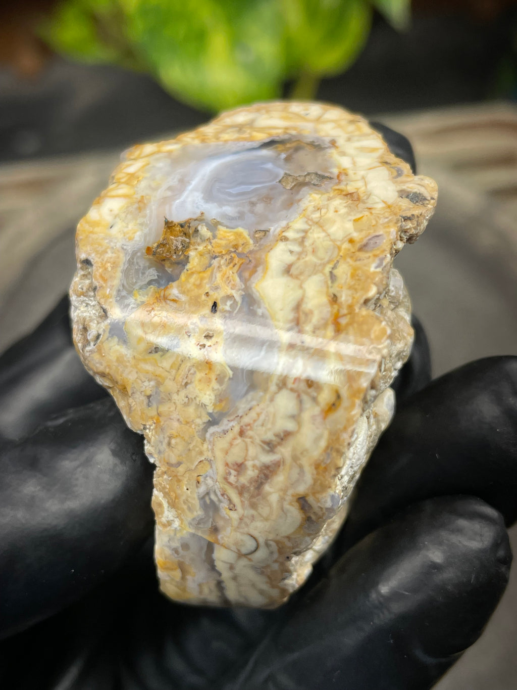 StoneBorn Creations Hand-Polished Curved Lace Agate with Natural Cream, Gold & Gray Banding – One-of-a-Kind Display Stone