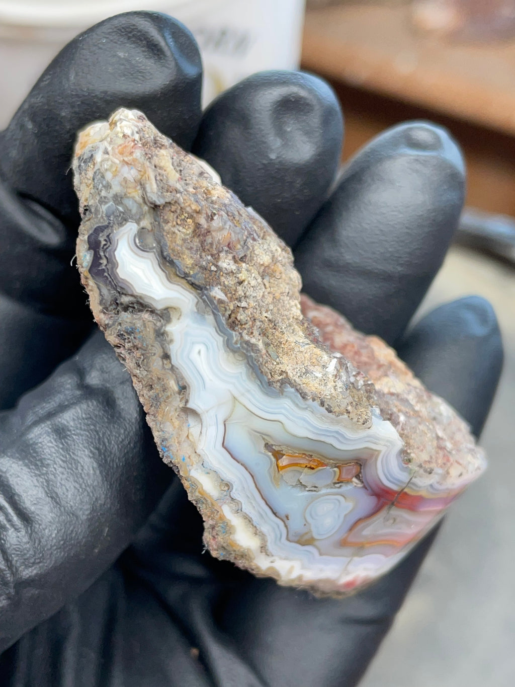 StoneBorn Creations – Hand-Collected & Hand-Polished Fortification Agate (Raw Top & Bottom)