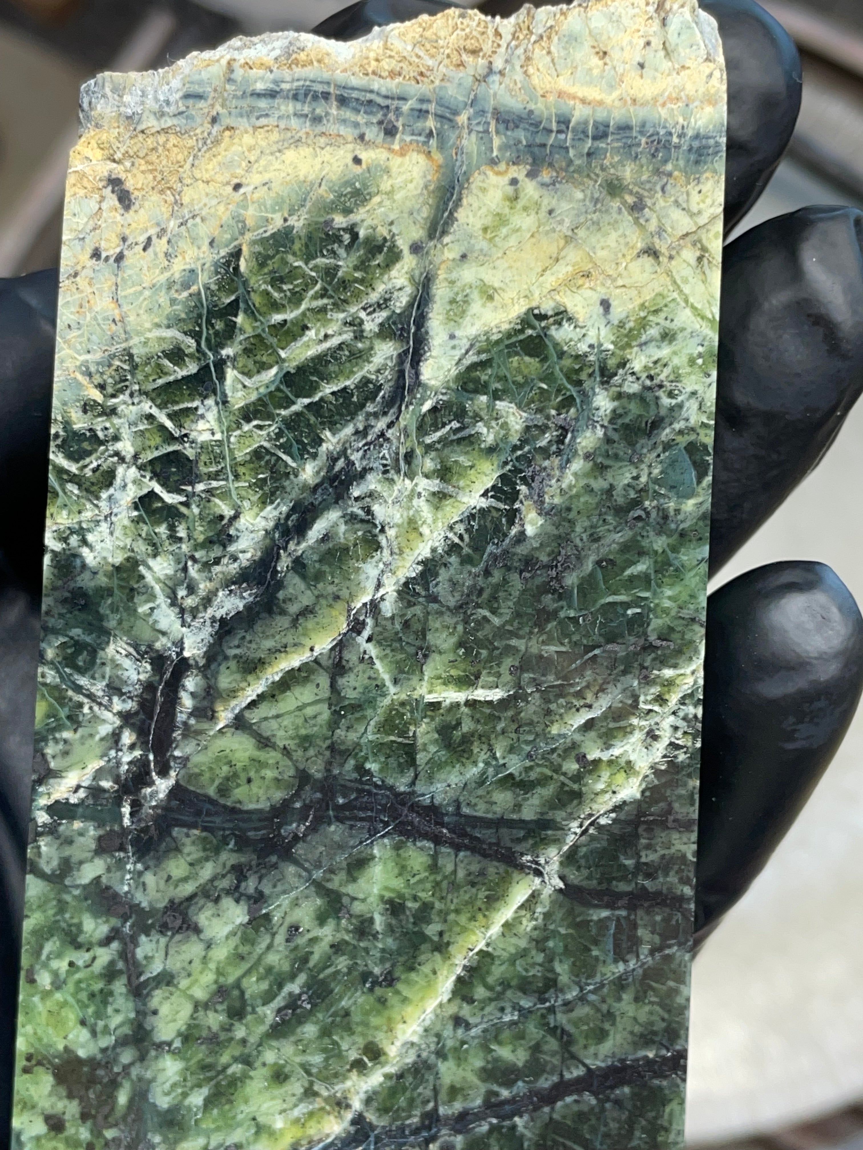Hand-Polished Green Serpentine Slab with Natural Veining | StoneBorn Creations