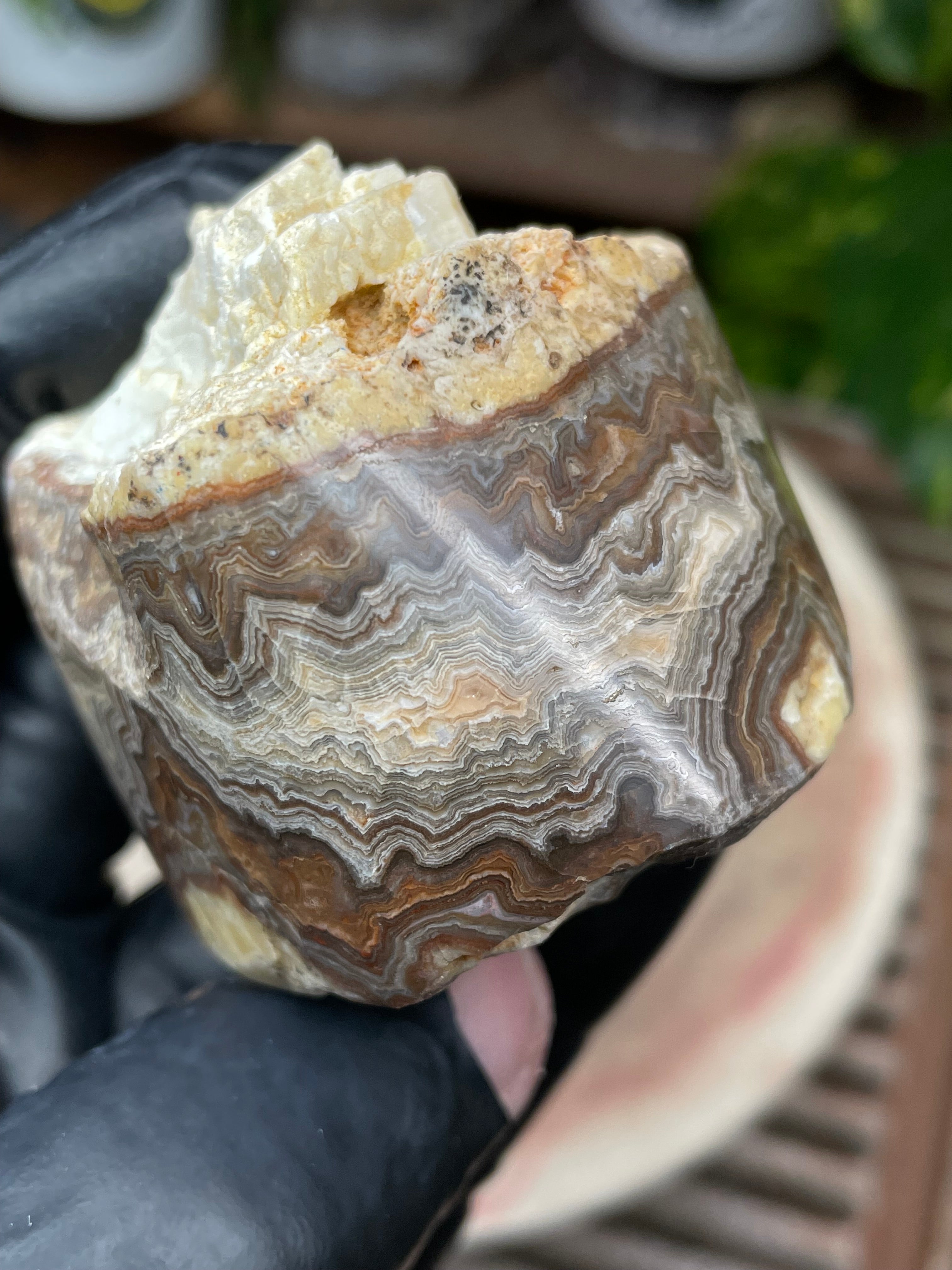StoneBorn Creations Hand-Polished Banded Lace Agate with Natural Raw Top and Base – Intricate Earth-Toned Banding Freeform Finish