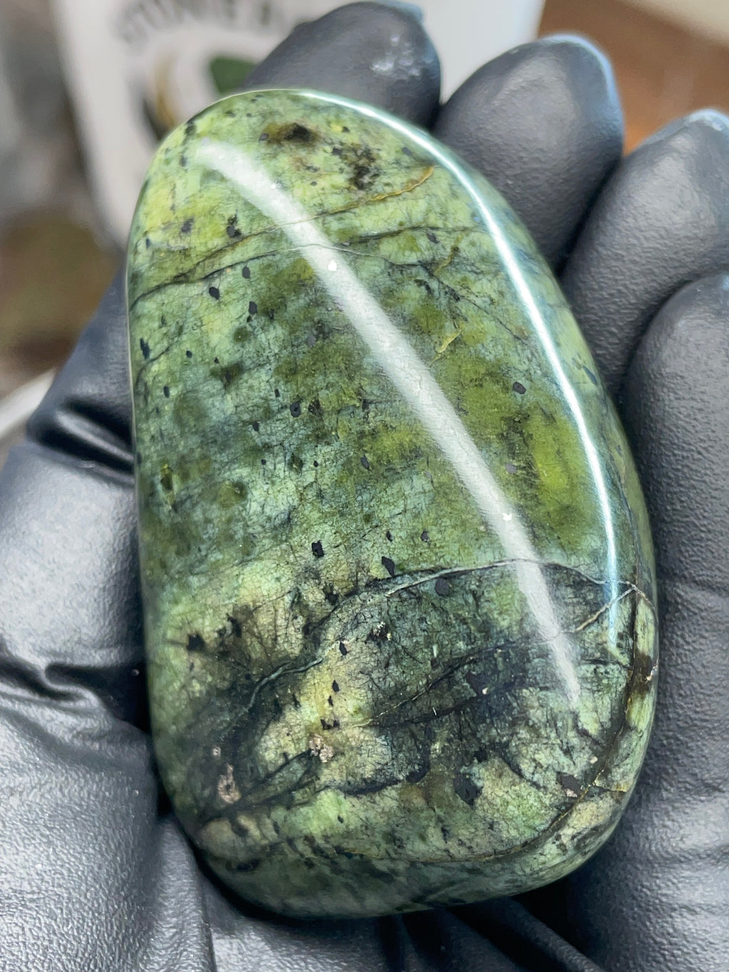 Hand-Polished Green Serpentine Freeform | StoneBorn Creations