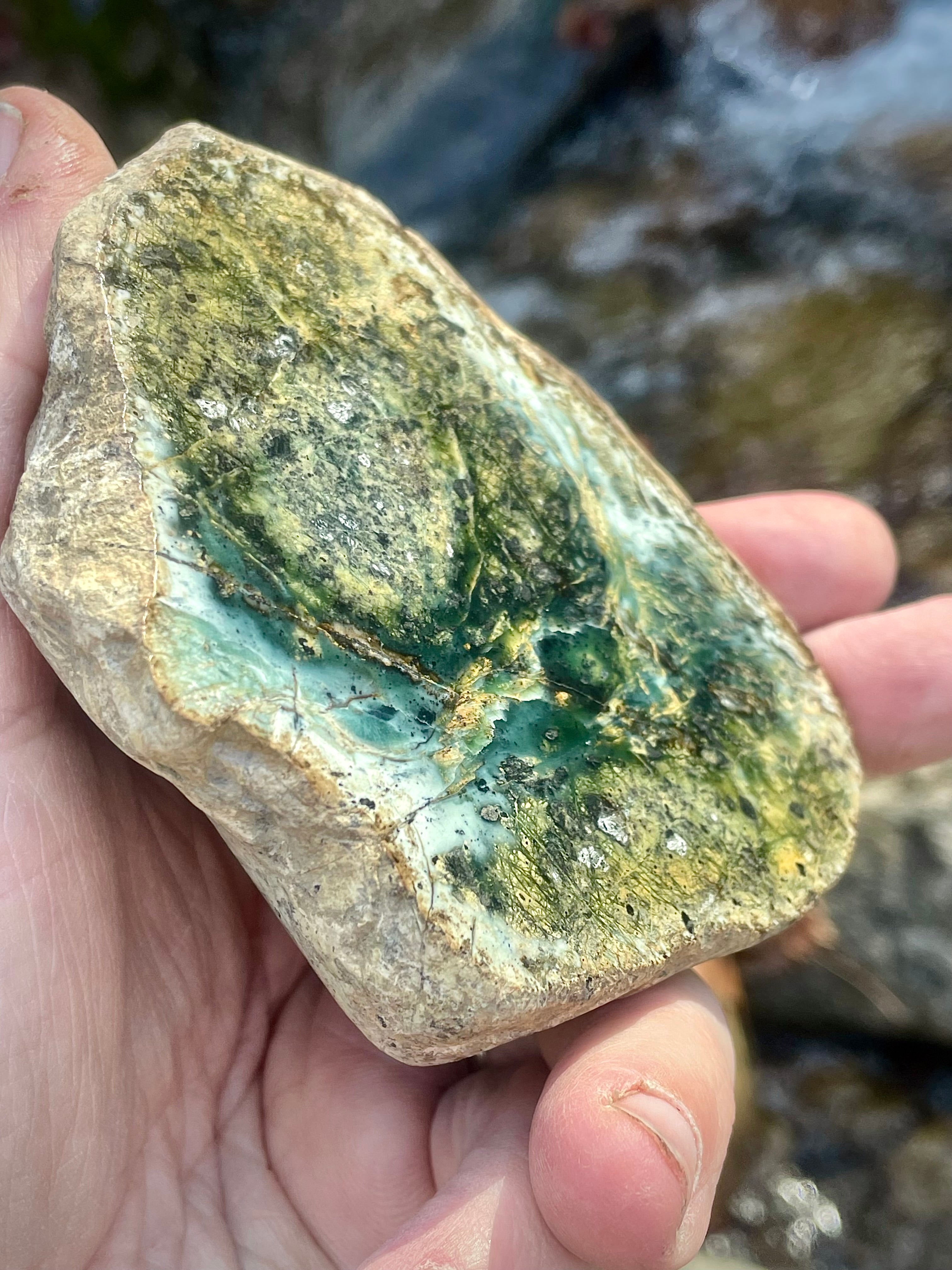 The Viral Vermont “Forest Heart” Stone • Polished Serpentine/Jadeite Mix • As Seen by Millions