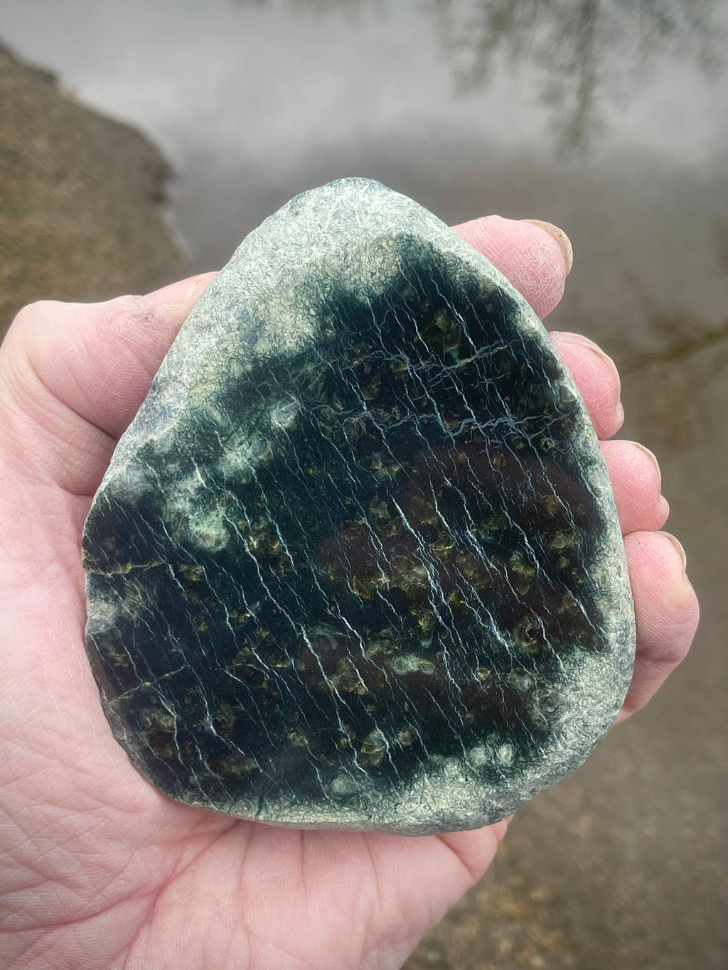 🌲 Polished Vermont Greenstone – Deep Forest Ripple Pattern (Hand-Collected & Polished)