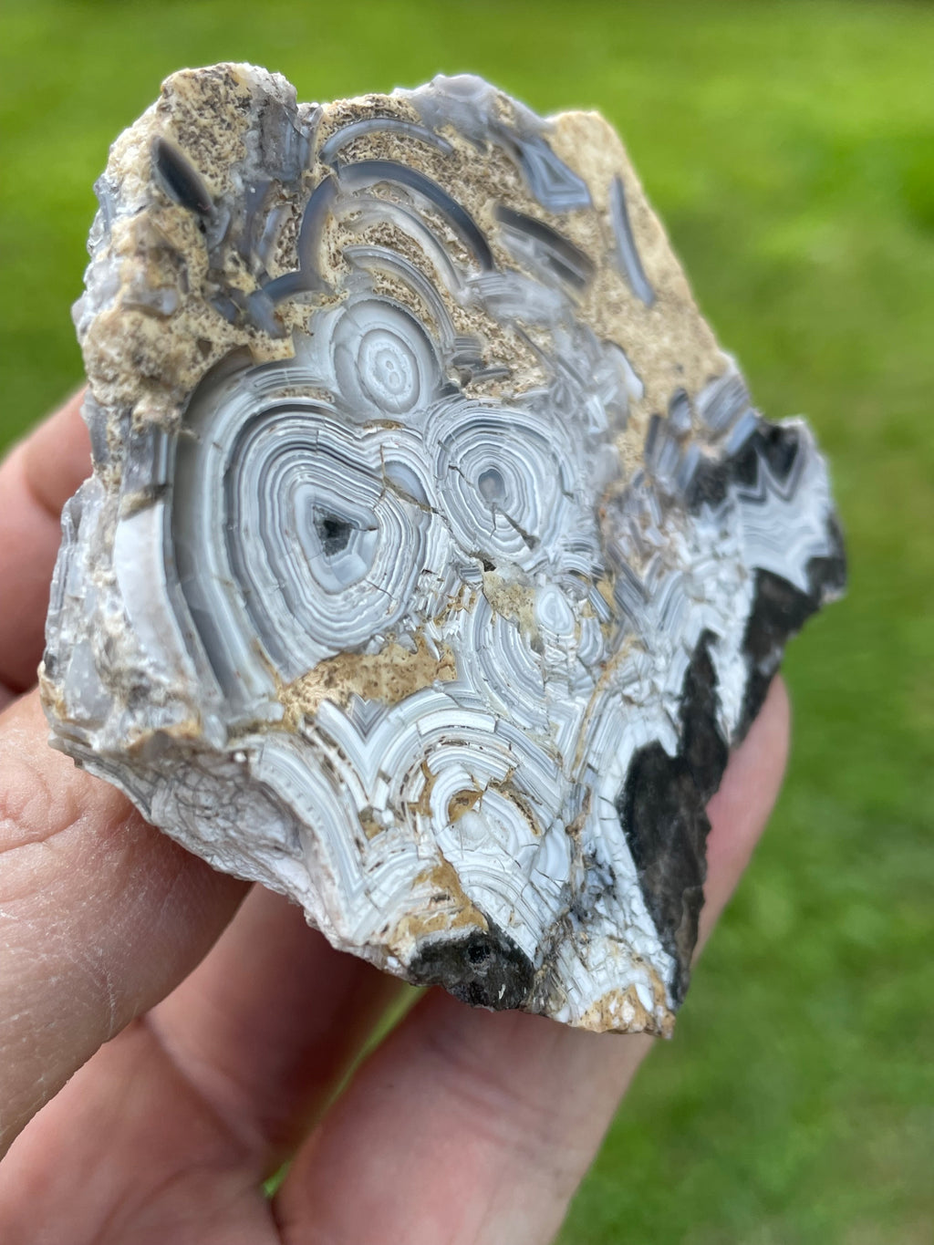 StoneBorn Creations Hand-Polished Tuxedo Lace Agate Bookmatched Pair | One-of-a-Kind Natural Display Stones