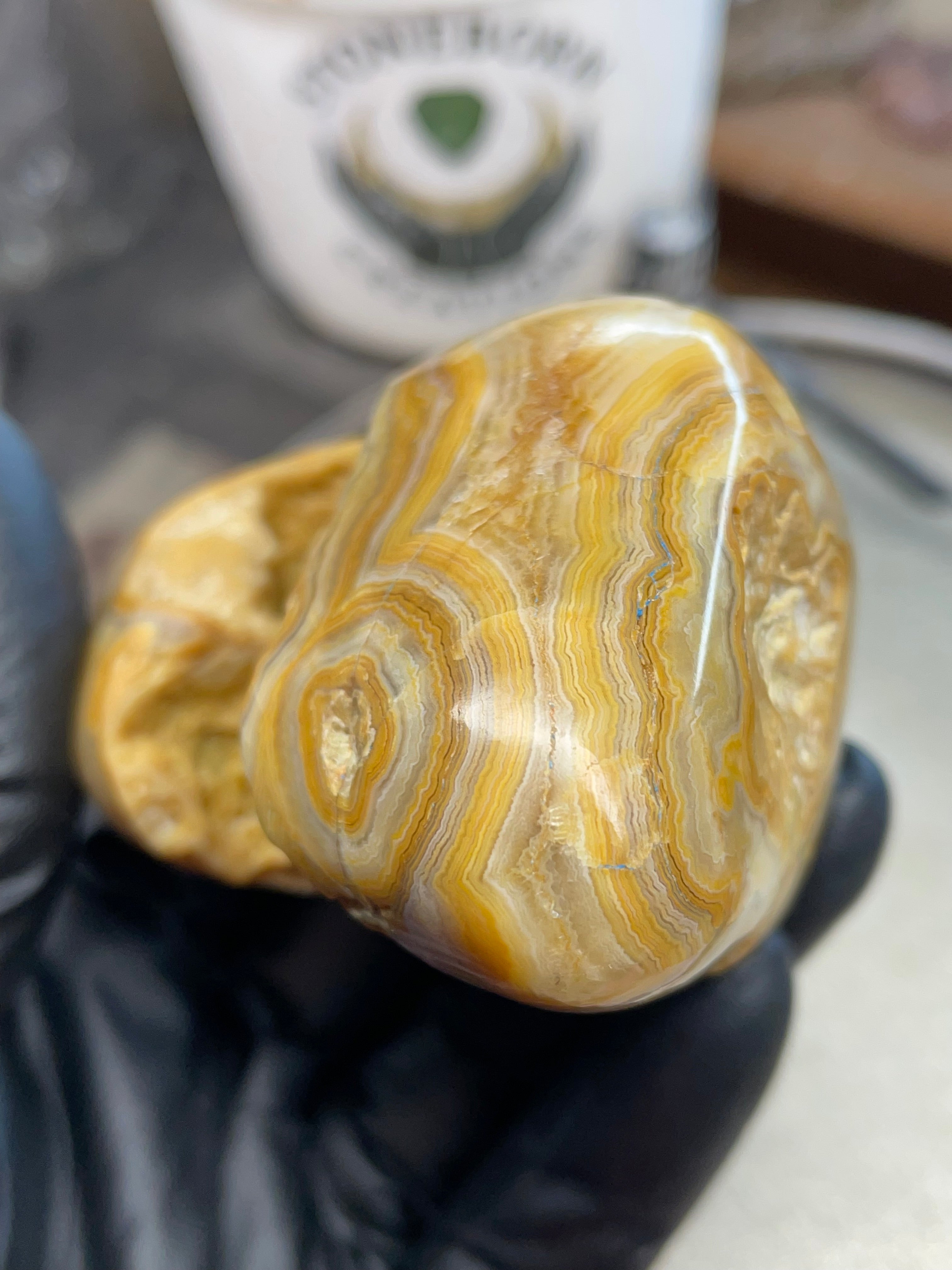 StoneBorn Creations Hand-Polished Crowley Ridge Lace Agate