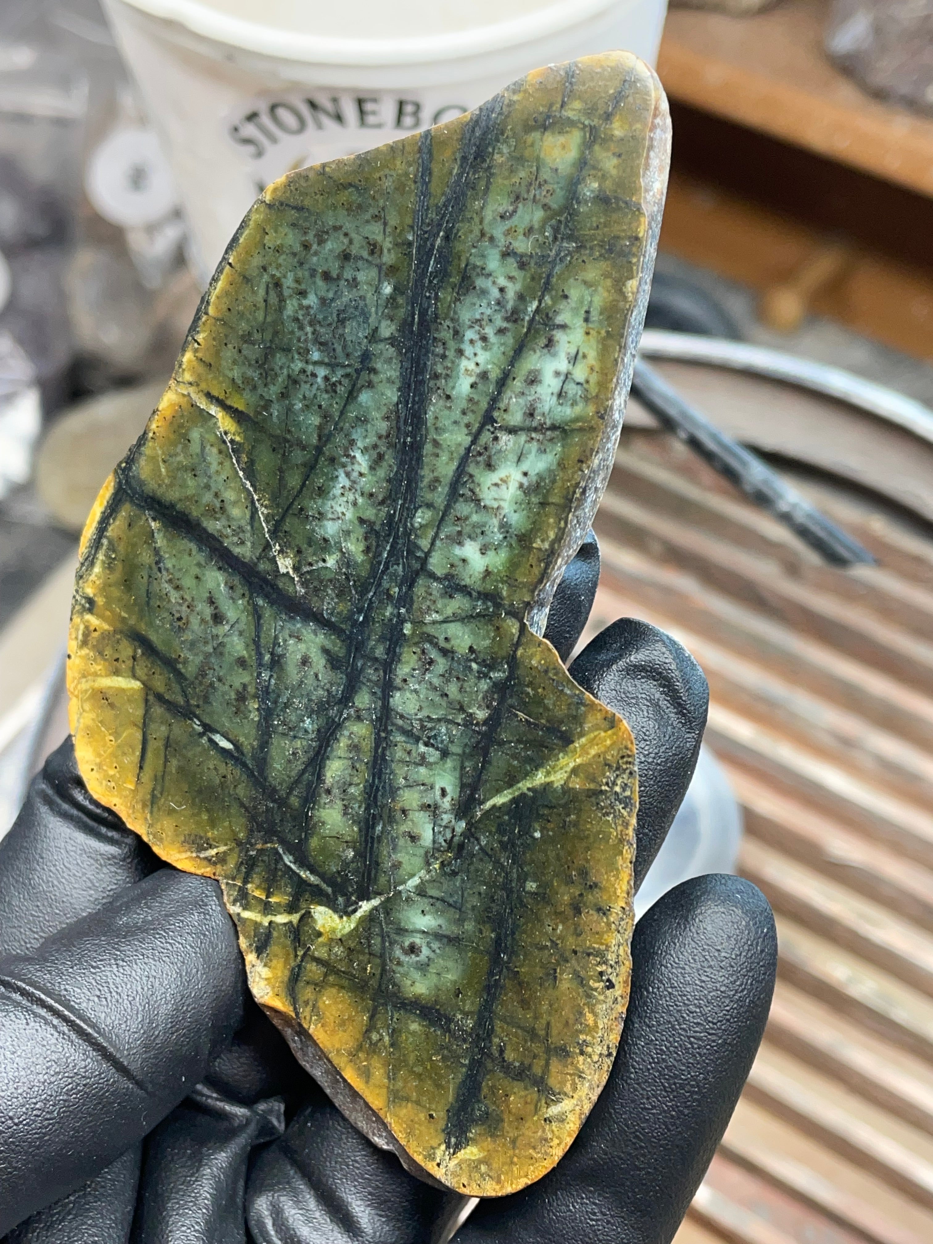 Hand-Collected Veined Serpentine Slab | Raw & Refined StoneBorn Specimen