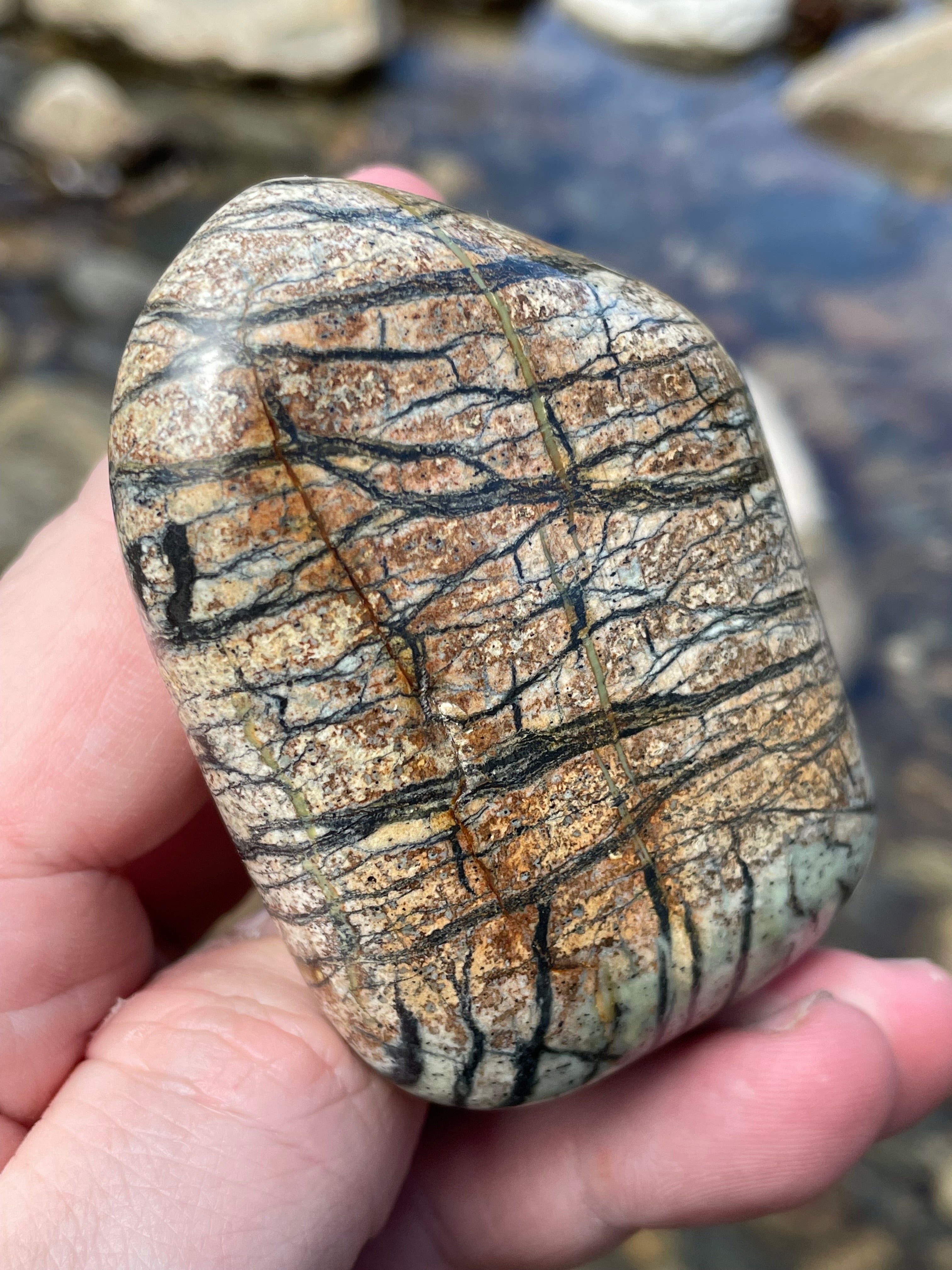 StoneBorn Creations Hand-Polished River Stone Freeform with Natural Black Webbing Patterns and Earthy Veining