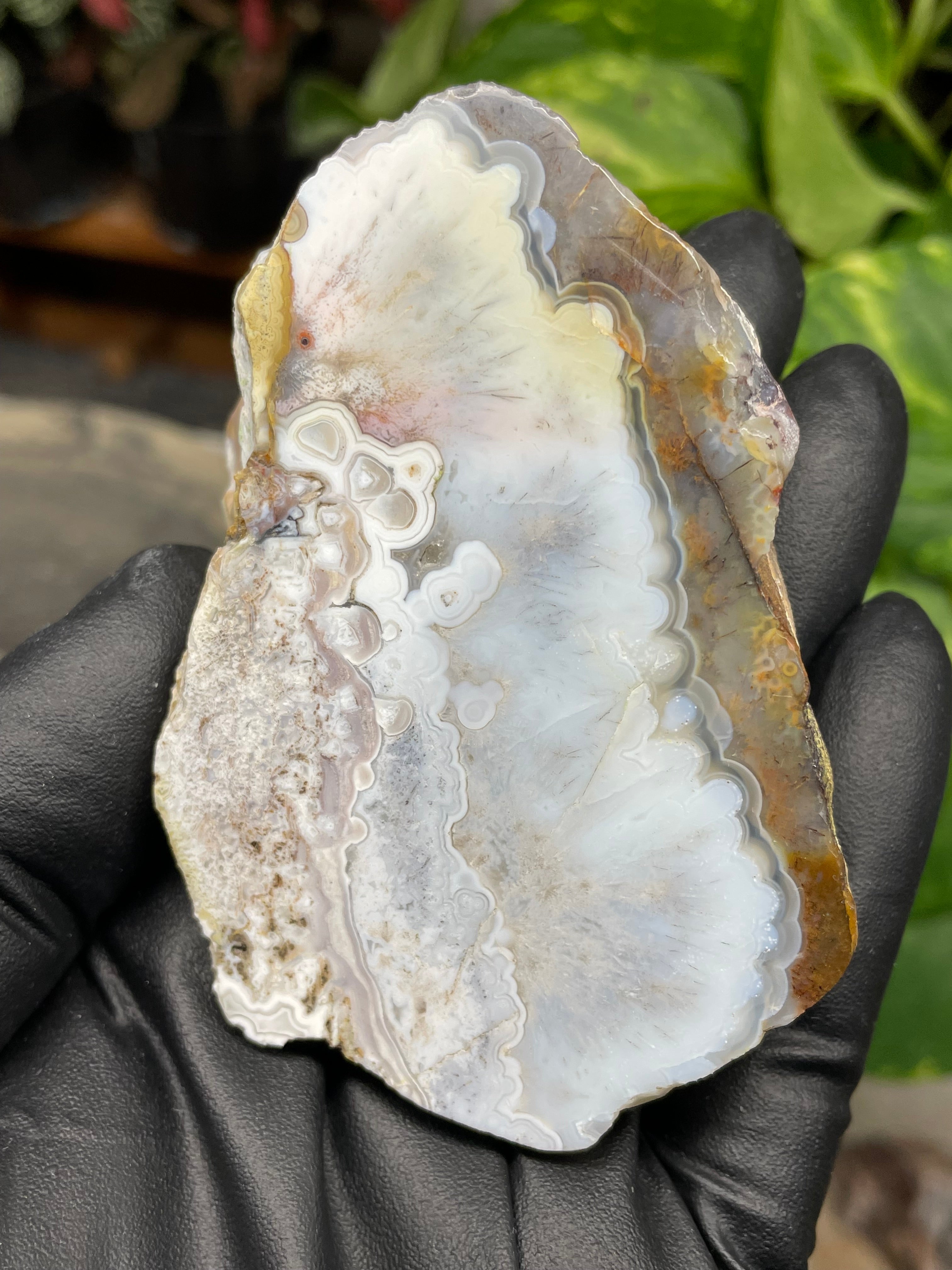 StoneBorn Creations Hand-Polished Agate Pair – Soft White Plume Details, Natural Banding & Raw Earthy Edges