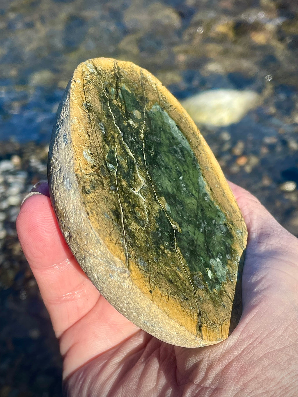 Polished Serpentine Slice • Deep Green Core With Golden Matrix Veins