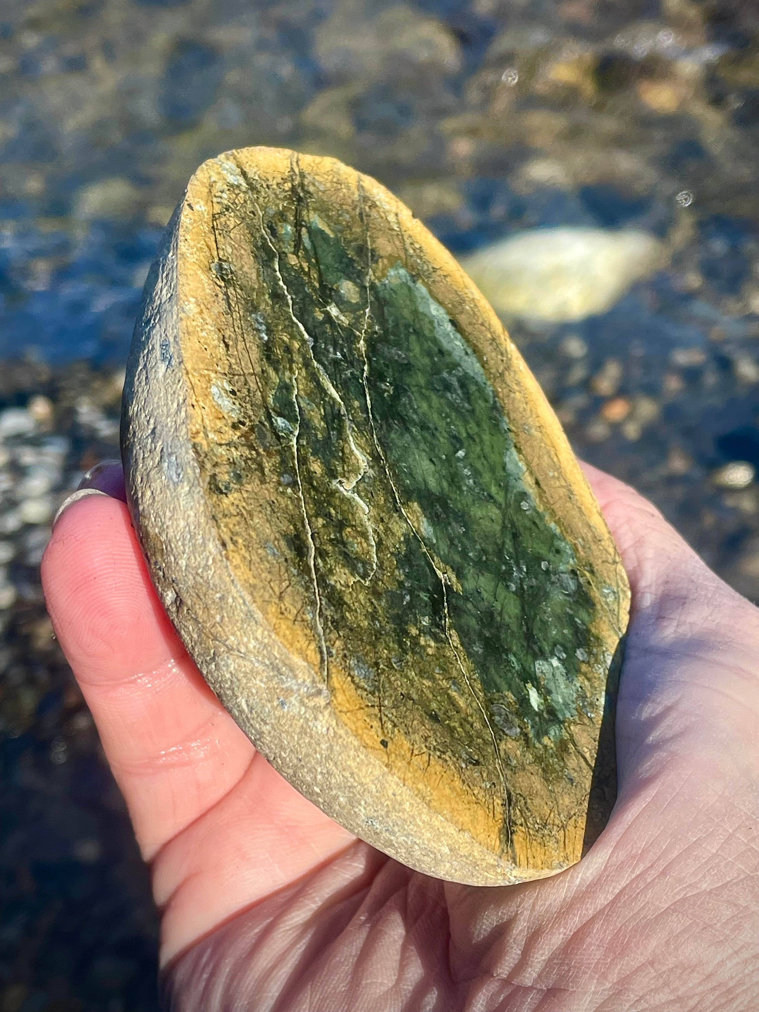Polished Serpentine Slice • Deep Green Core With Golden Matrix Veins