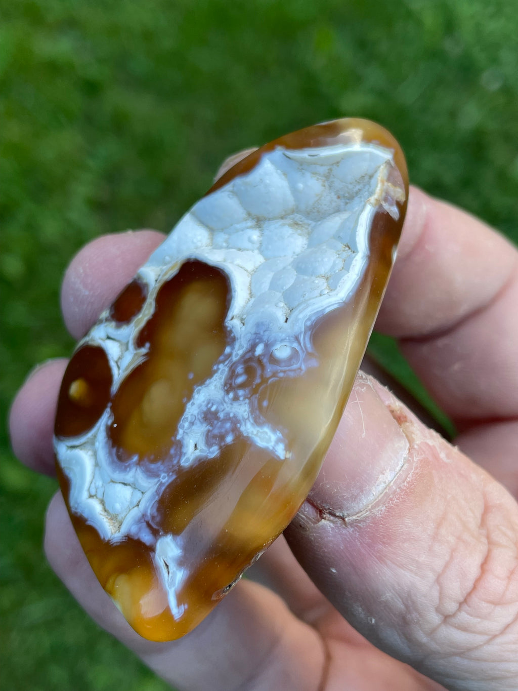 StoneBorn Creations Hand-Polished Agatized Coral Freeform with Amber Chalcedony, Orbicular Eyes & UV Fluorescence