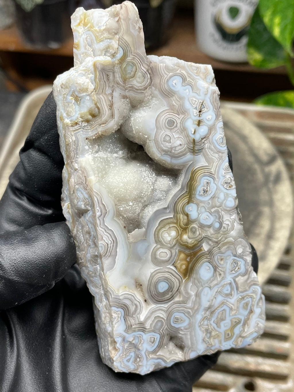 StoneBorn Creations Hand-Polished Lace Agate Pair – River Cut Matching Display Halves with Druzy Crystal Pockets & Intricate Natural Banding