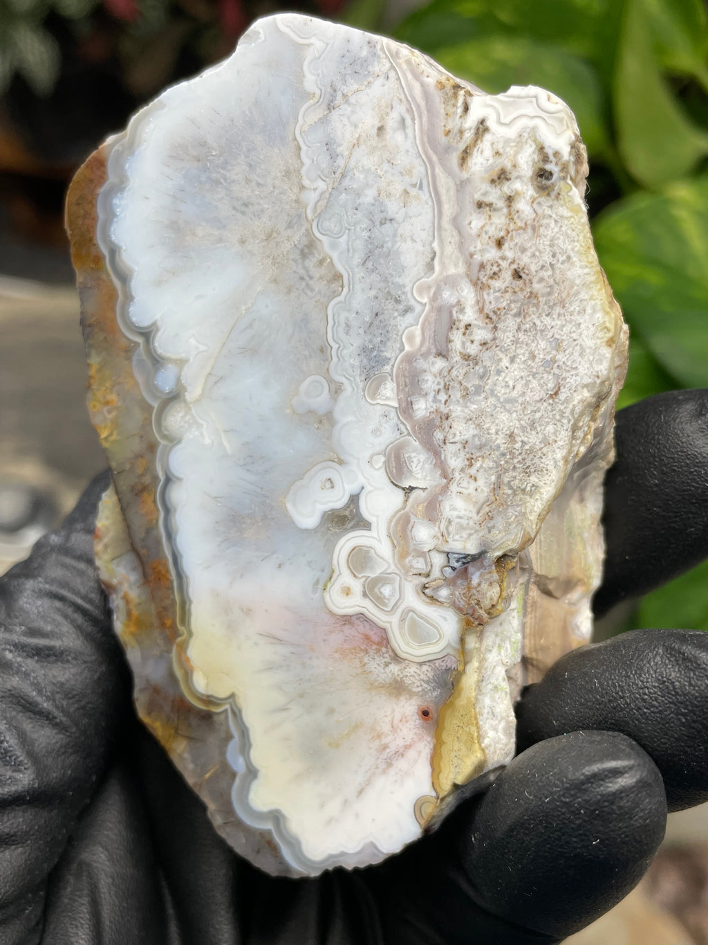 StoneBorn Creations Hand-Polished Agate Pair – Soft White Plume Details, Natural Banding & Raw Earthy Edges