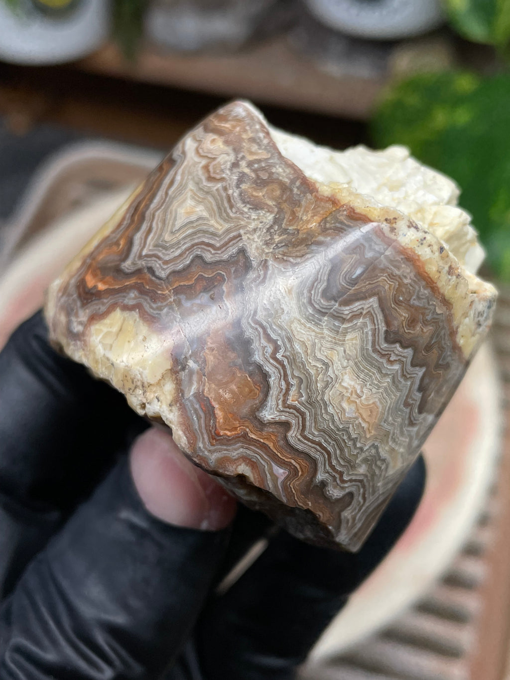 StoneBorn Creations Hand-Polished Banded Lace Agate with Natural Raw Top and Base – Intricate Earth-Toned Banding Freeform Finish
