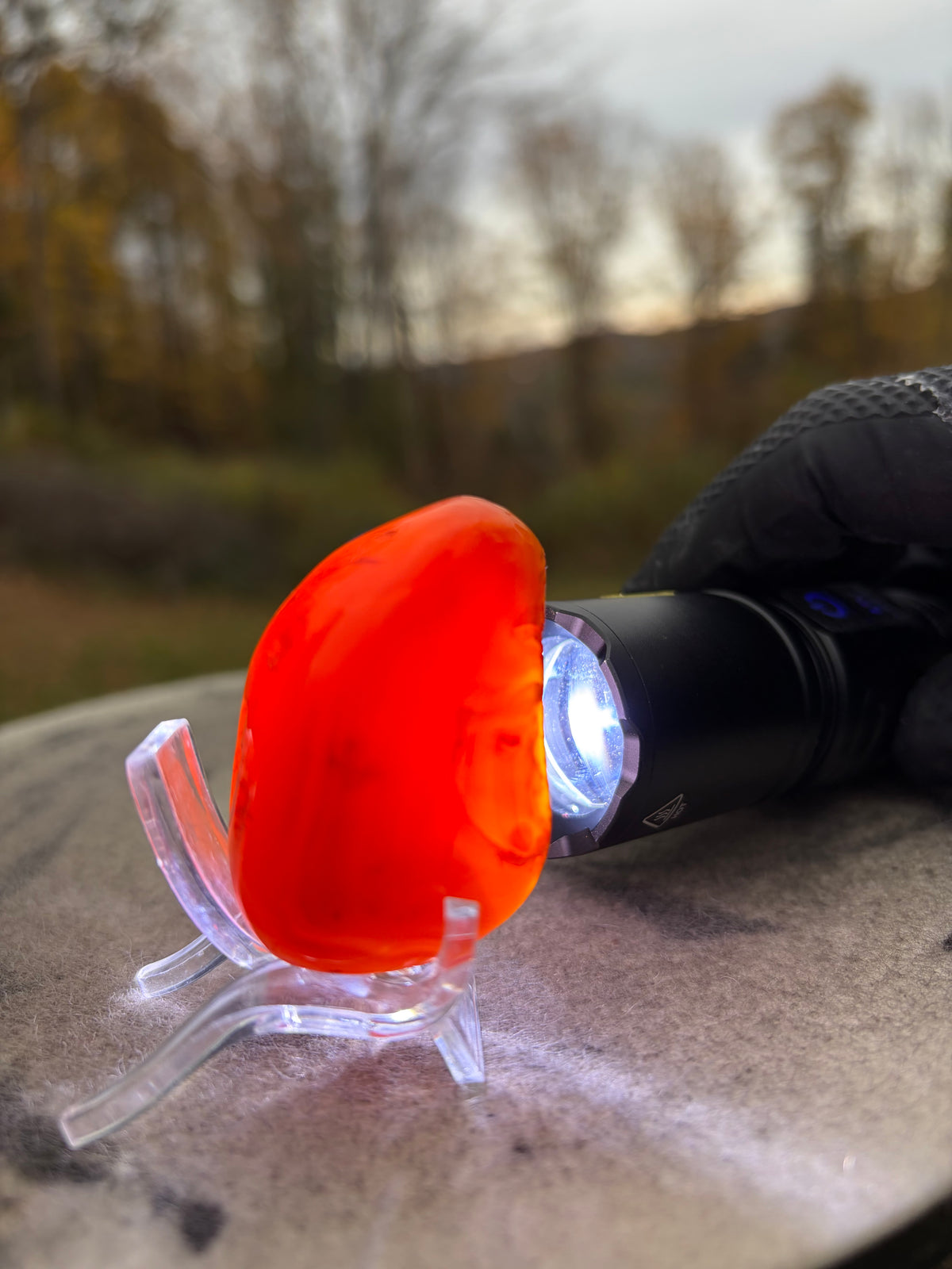 StoneBorn Creations – Fiery Orange Carnelian Agate | Hand-Polished Translucent Stone with Natural Red Matrix