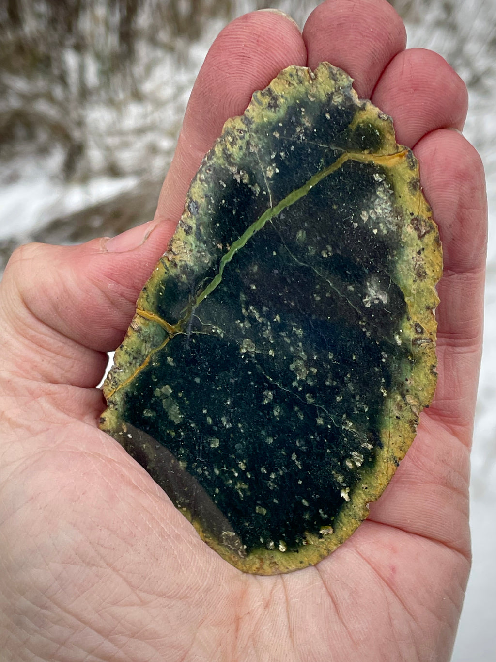 🌲 Polished Vermont Serpentine Stone – Dark Veined Freeform Slice (Hand-Collected & Polished)