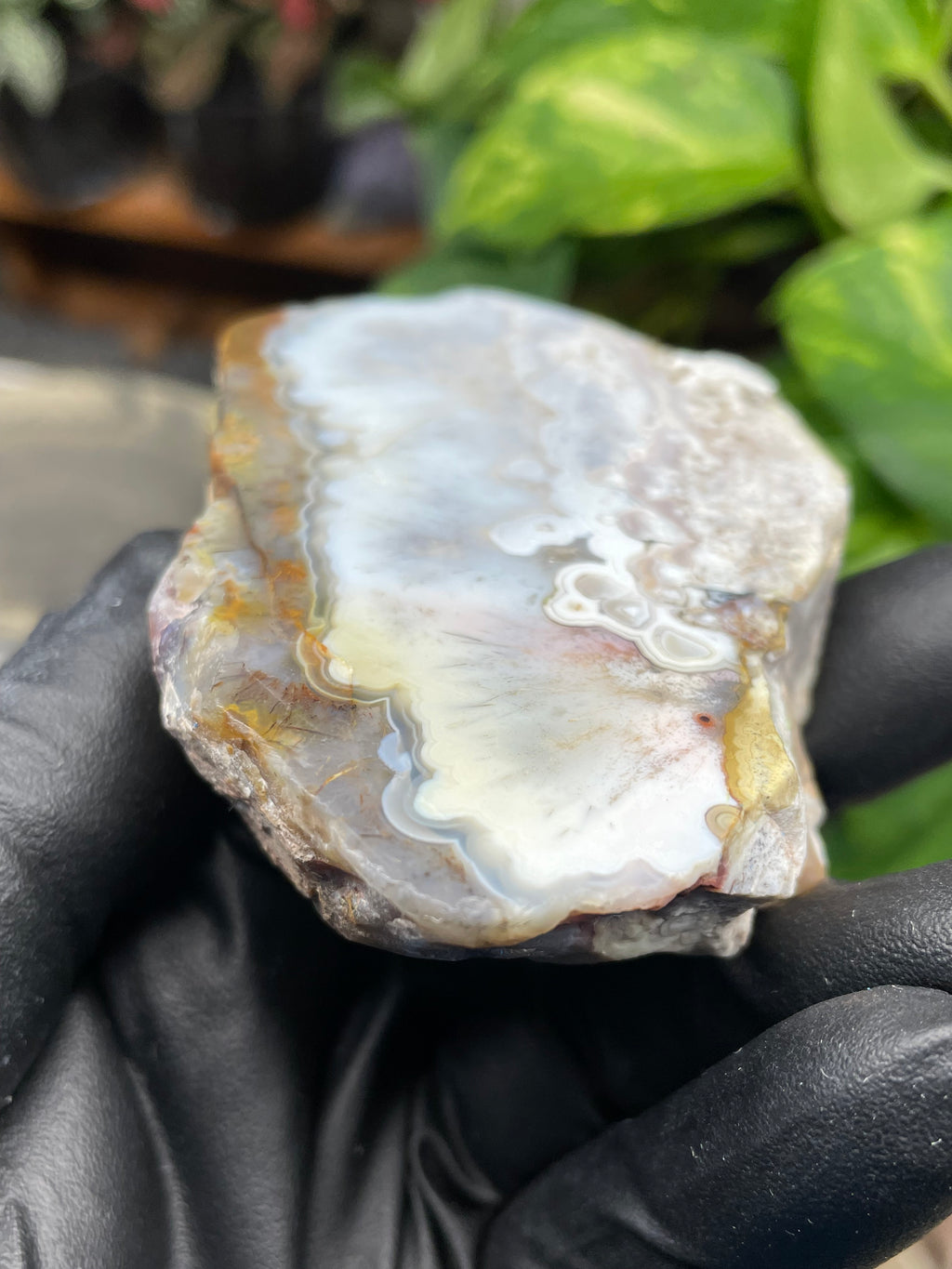 StoneBorn Creations Hand-Polished Agate Pair – Soft White Plume Details, Natural Banding & Raw Earthy Edges