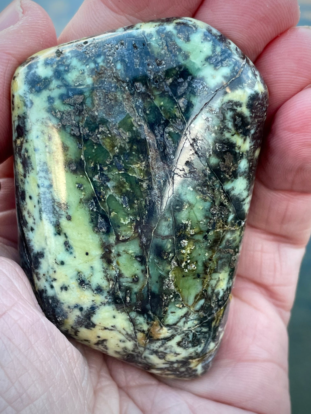 🌿 Polished Vermont Serpentine — Frosted Forest Pattern (Hand-Collected & Crafted)