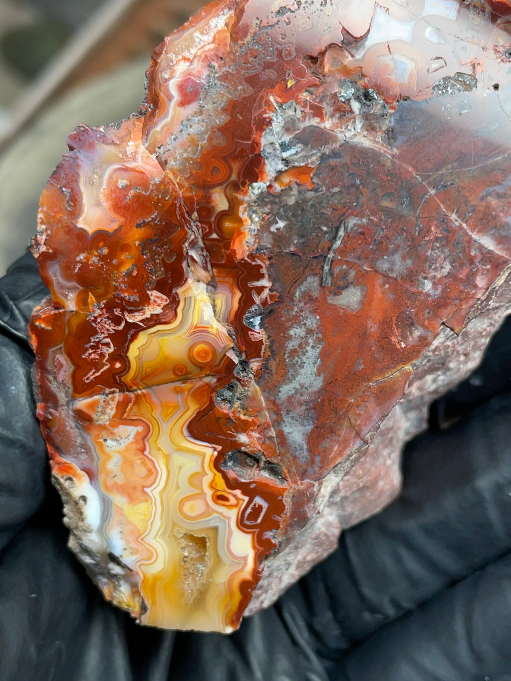 StoneBorn Creations — Hand-Polished Banded Agate (Curved Flat-Lap Polish)