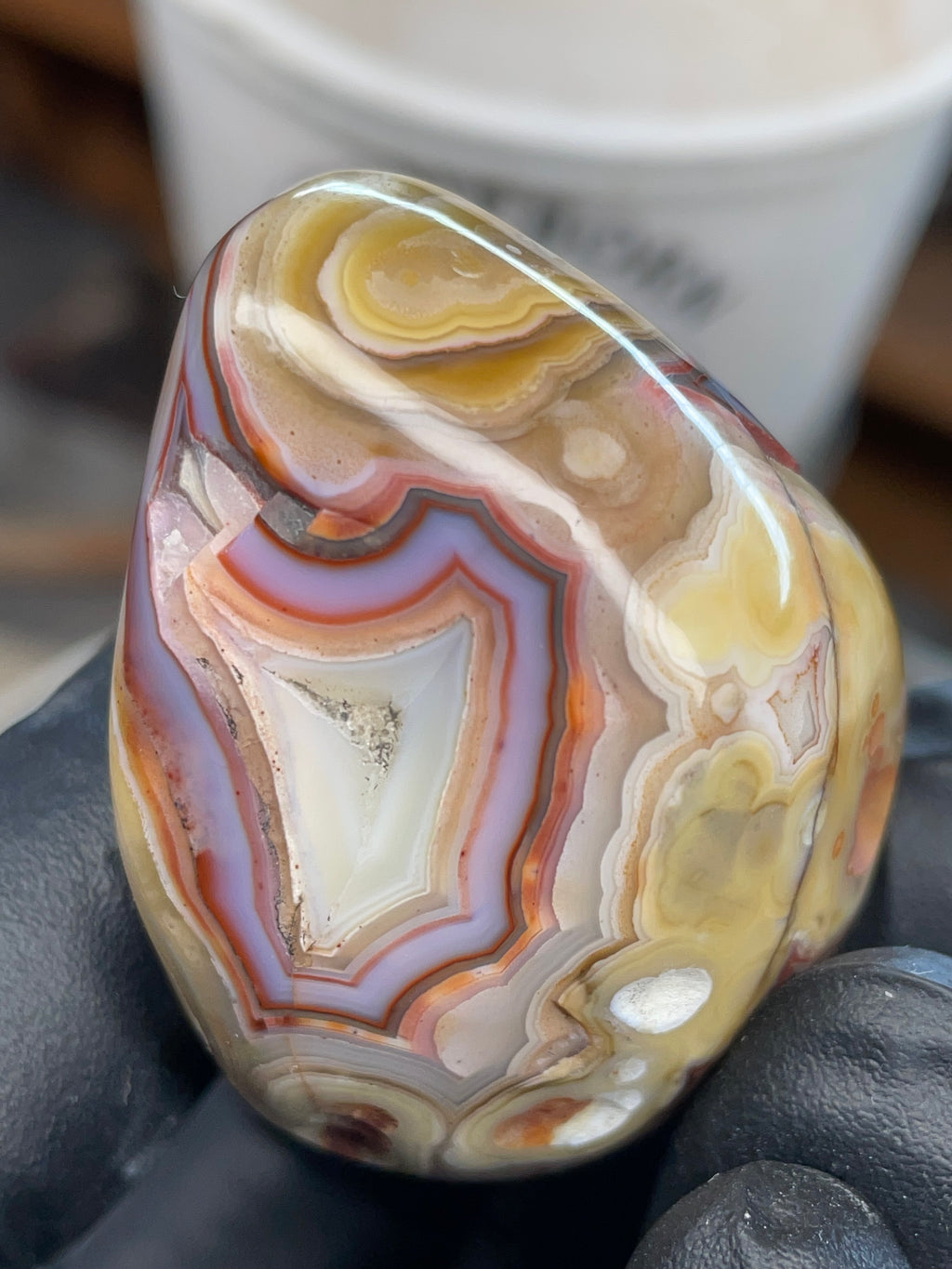 StoneBorn Banded Agate with Natural Druzy Pocket