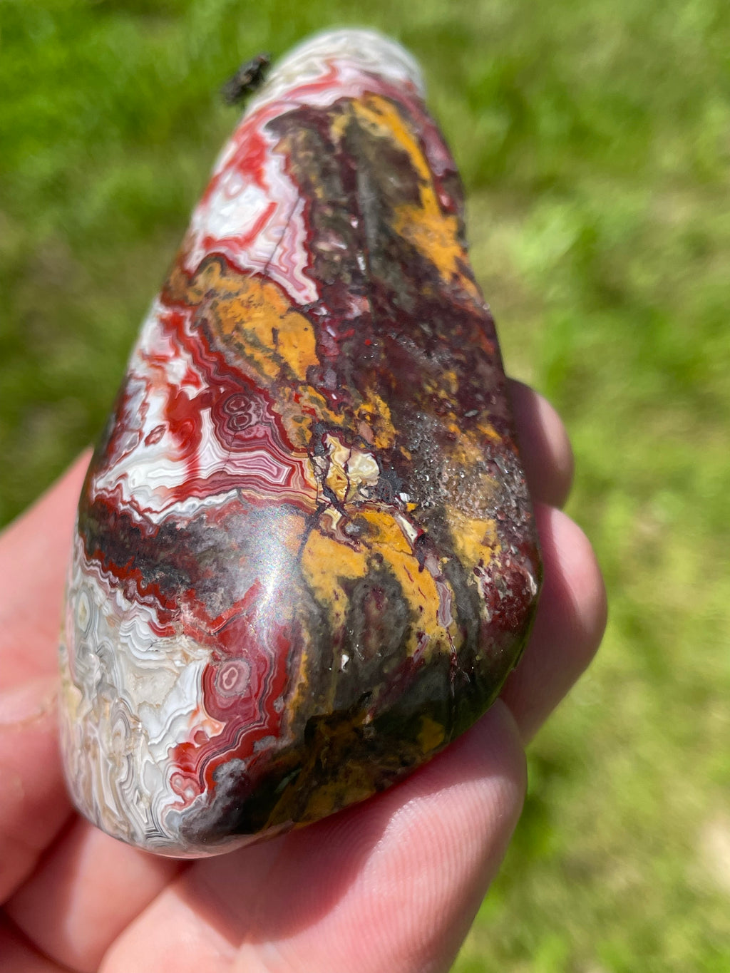 StoneBorn Creations Hand-Polished Lace Agate Freeform with Deep Crimson Banding, Intricate Fortification Patterns, and Natural Druzy Pocket