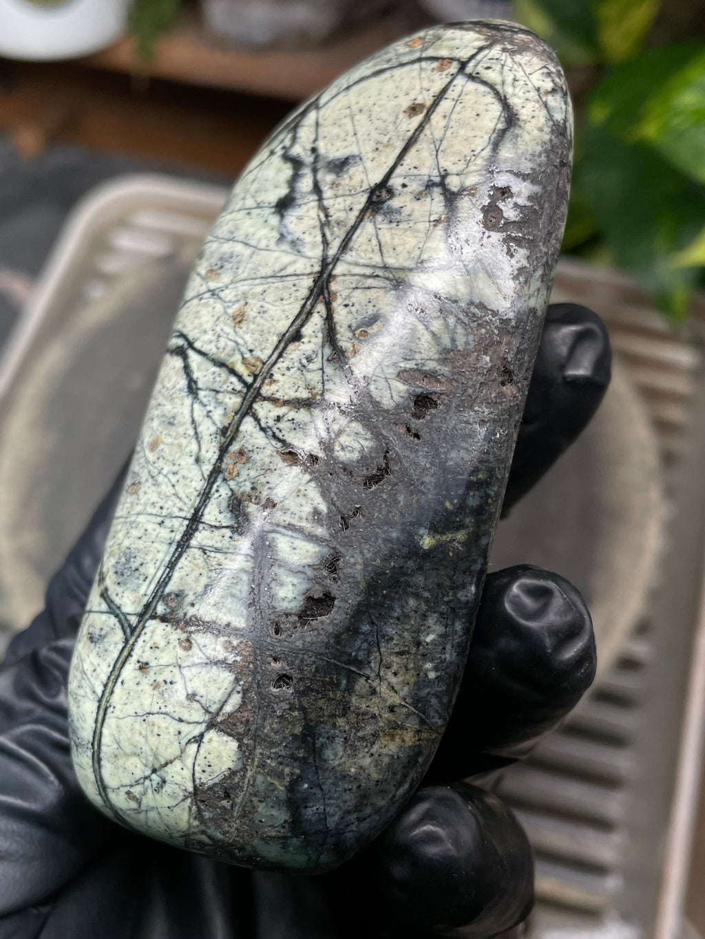 StoneBorn Creations Hand-Polished Vermont Serpentine with Spiderweb Veining, Soft Ivory Green Tones, and Natural Earth Markings
