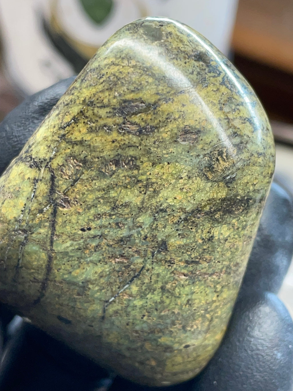 Hand-Polished Serpentine Stone – Vermont | One of One | StoneBorn Creation