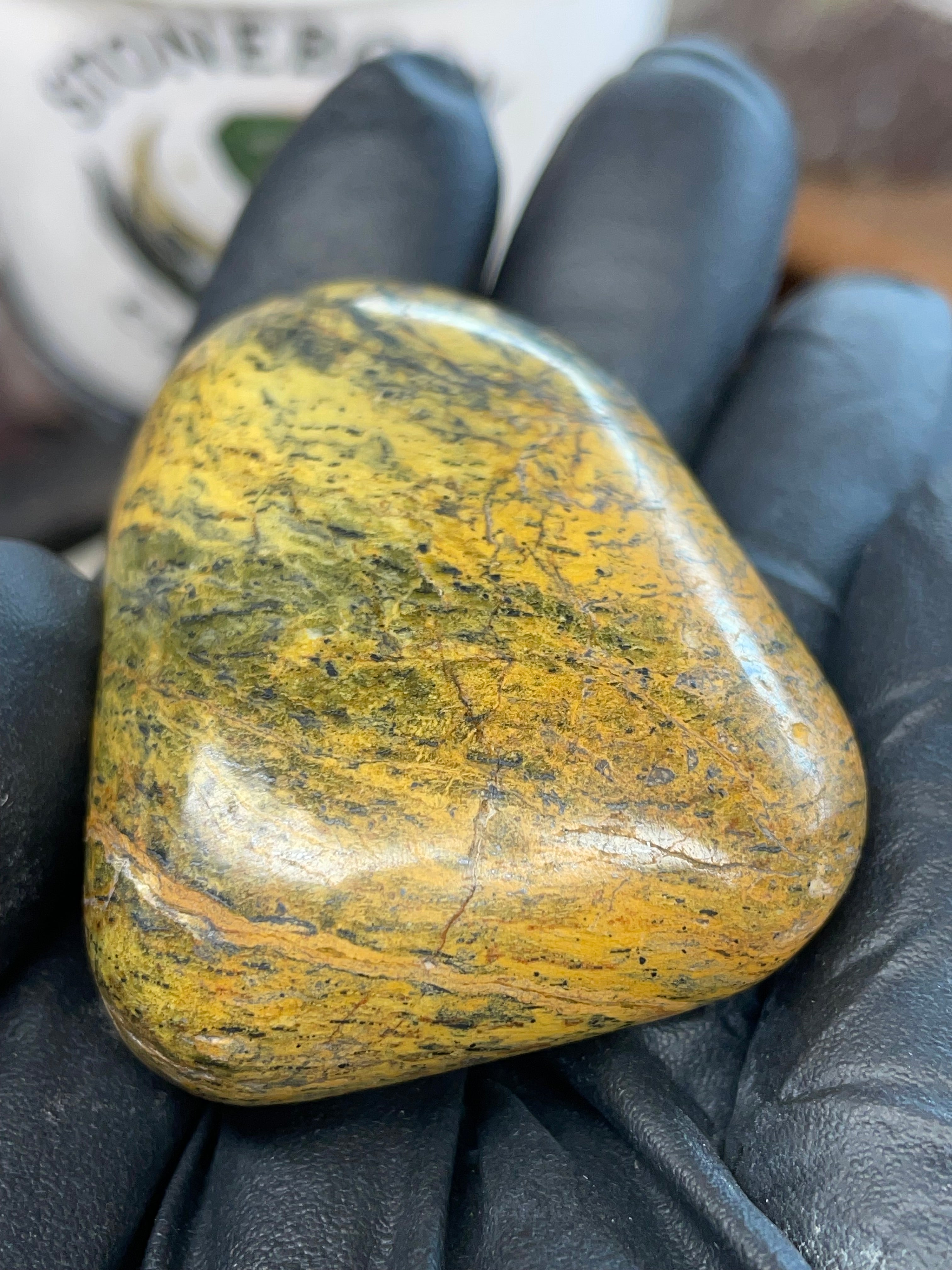 Hand-Polished Golden Serpentine | One-of-One River Stone